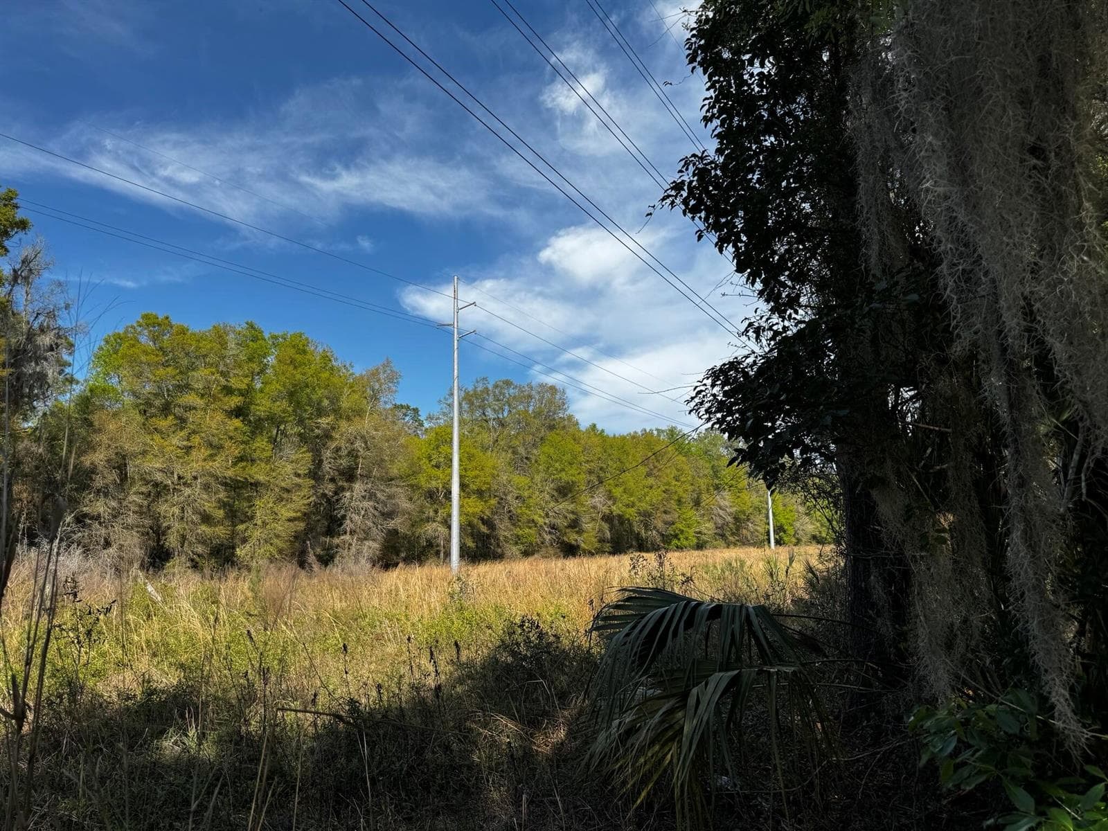 Tbd NE 4th Court, Ocala FL 34479 photo 3