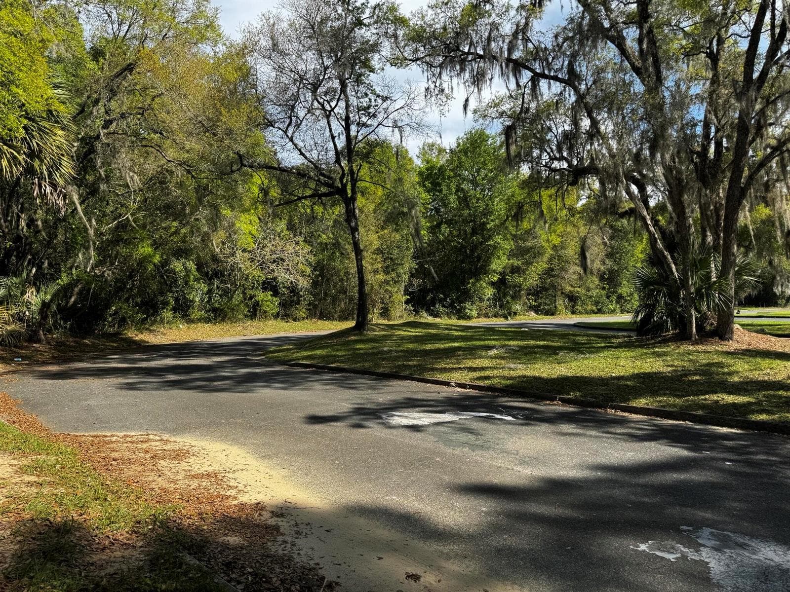 Tbd NE 4th Court, Ocala FL 34479 photo 5