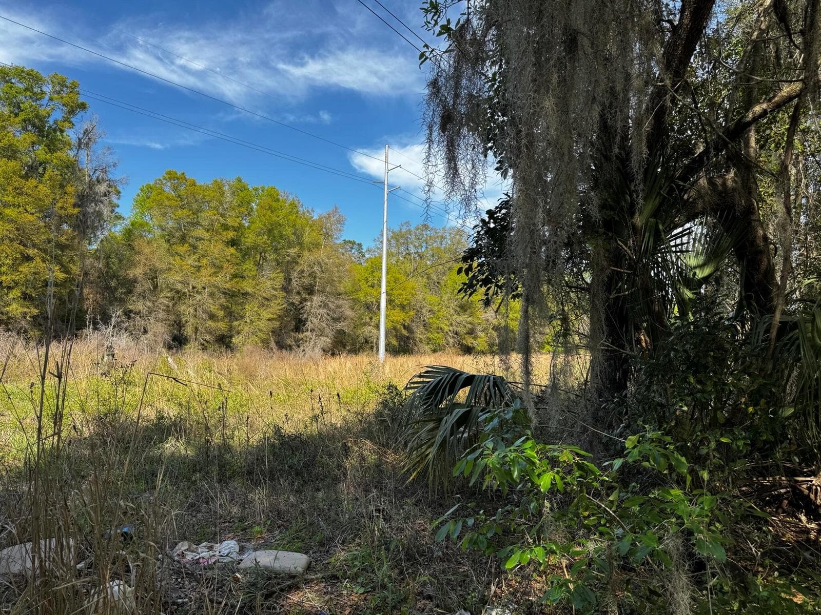 Tbd NE 4th Court, Ocala FL 34479 photo 4