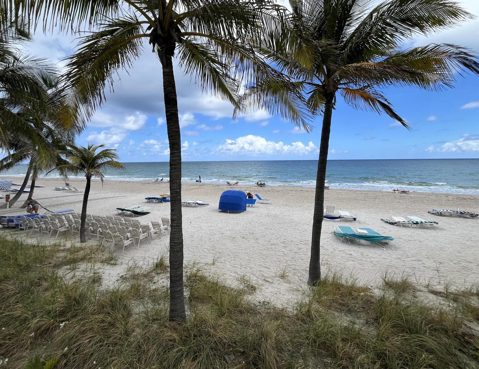 3500 Galt Ocean Drive # 208, Fort Lauderdale FL 33308 photo 3