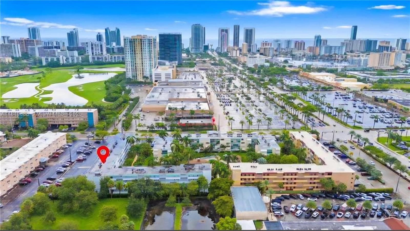 1333 E Hallandale Beach Boulevard # 305, Hallandale Beach FL 33009 photo 2