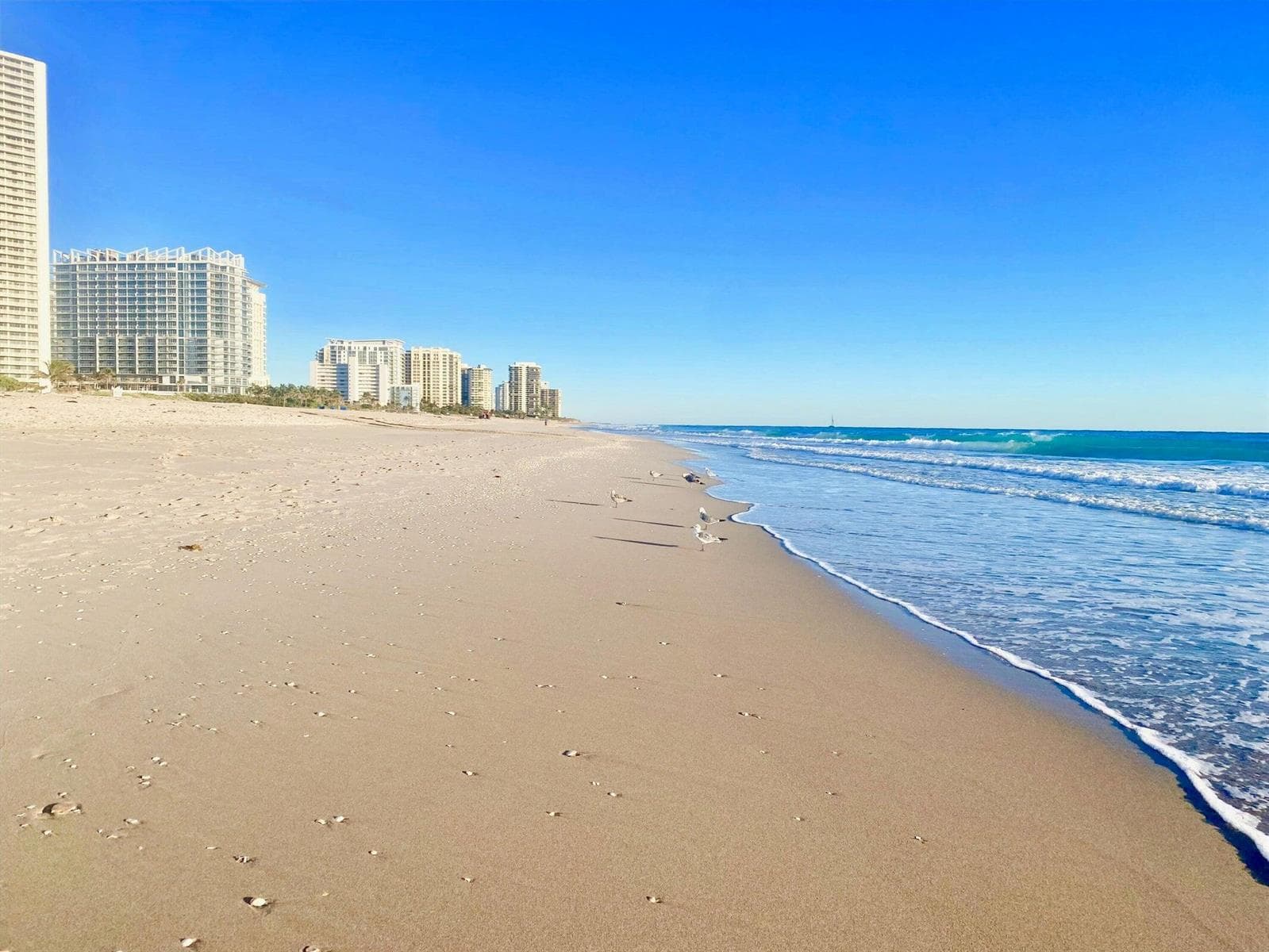 4100 N Ocean Drive # 803, Singer Island FL 33404 photo 3