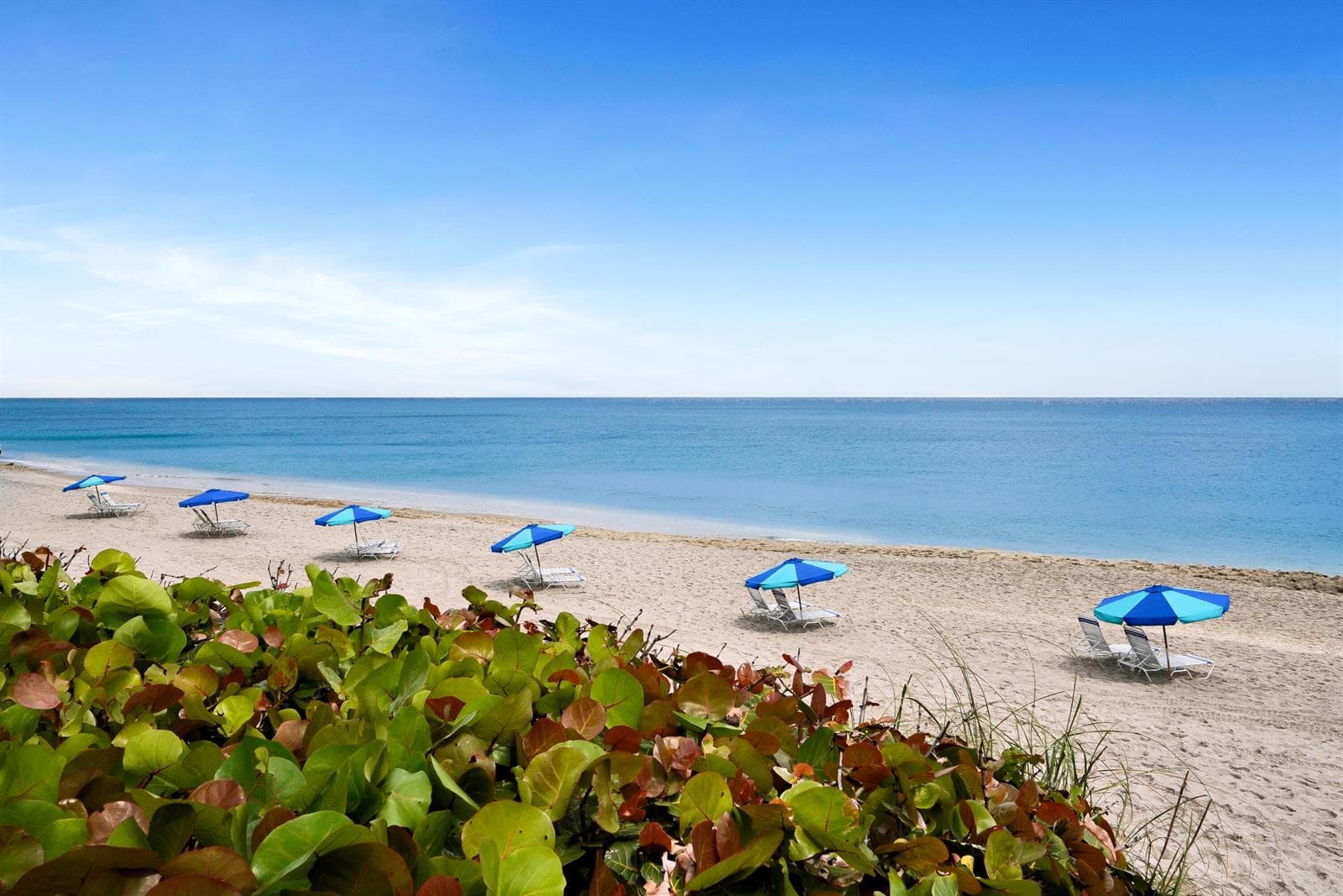 4100 N Ocean Drive # 803, Singer Island FL 33404 photo 5