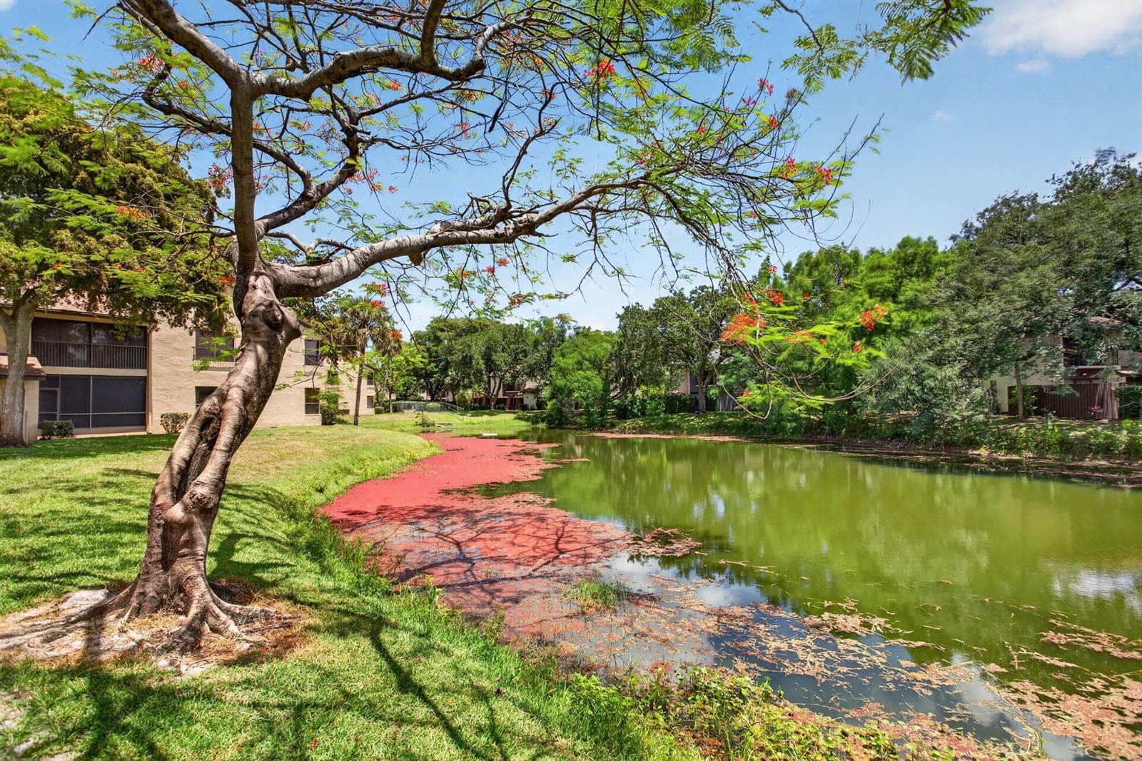 3713 Cocoplum Circle # 3545, Coconut Creek FL 33063 photo 4