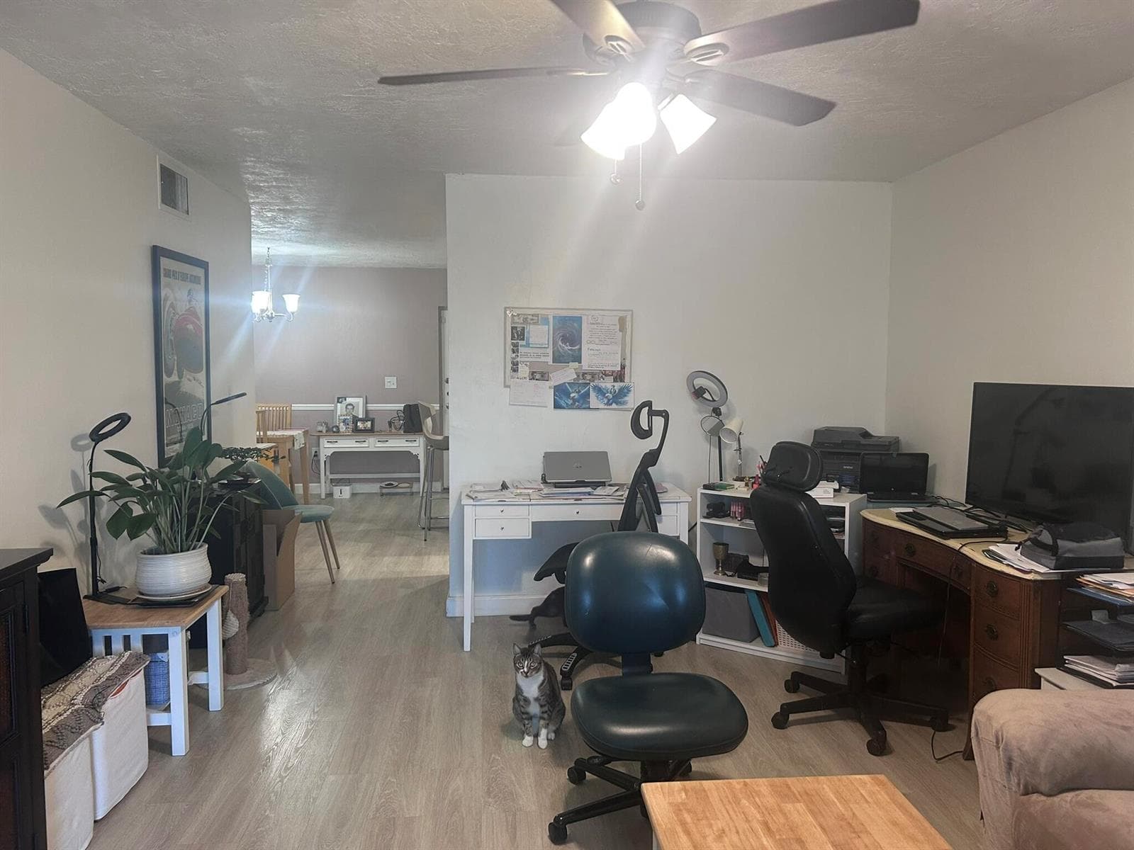 7300 NW 17th Street # 320, Plantation FL 33313 photo 4