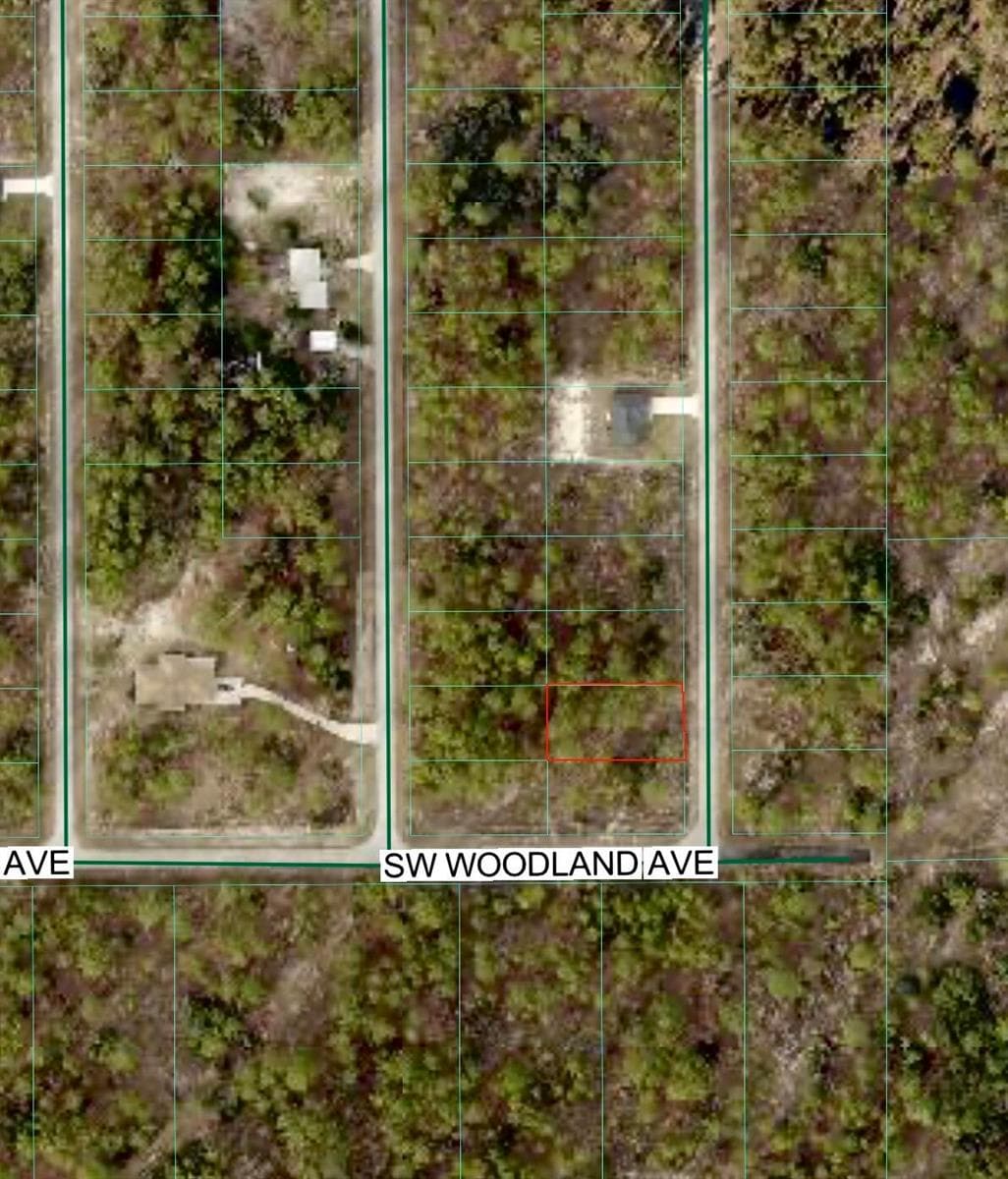 Tbd SW Buena Vista Road, FL 34431 photo 2