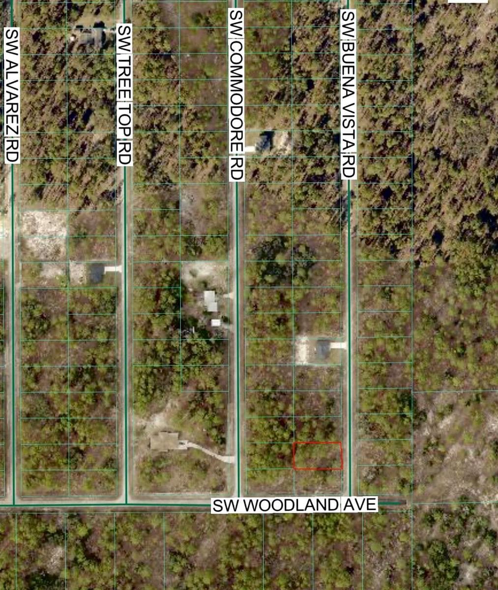 Tbd SW Buena Vista Road, FL 34431 photo 3