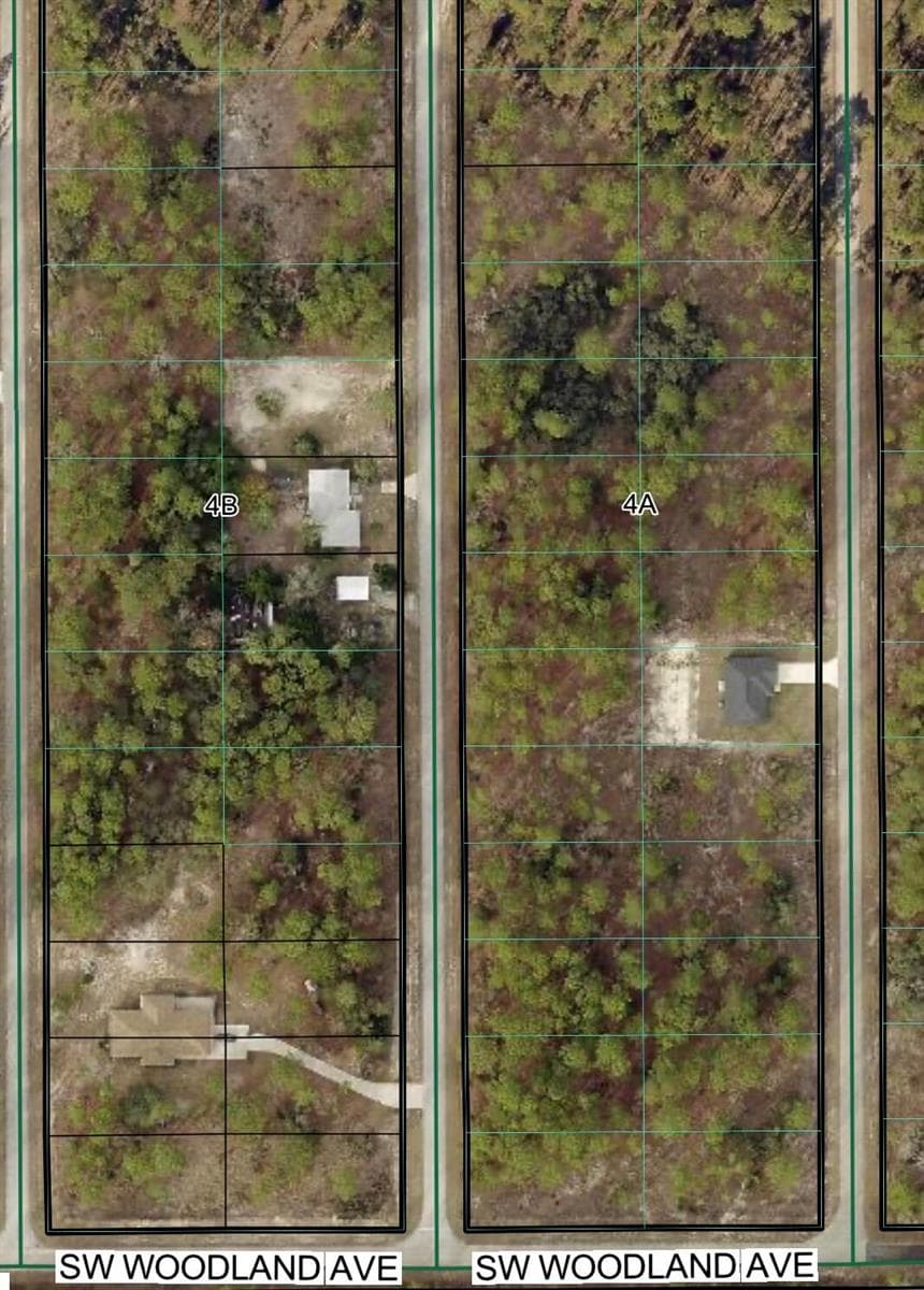 Tbd SW Buena Vista Road, FL 34431 photo 4