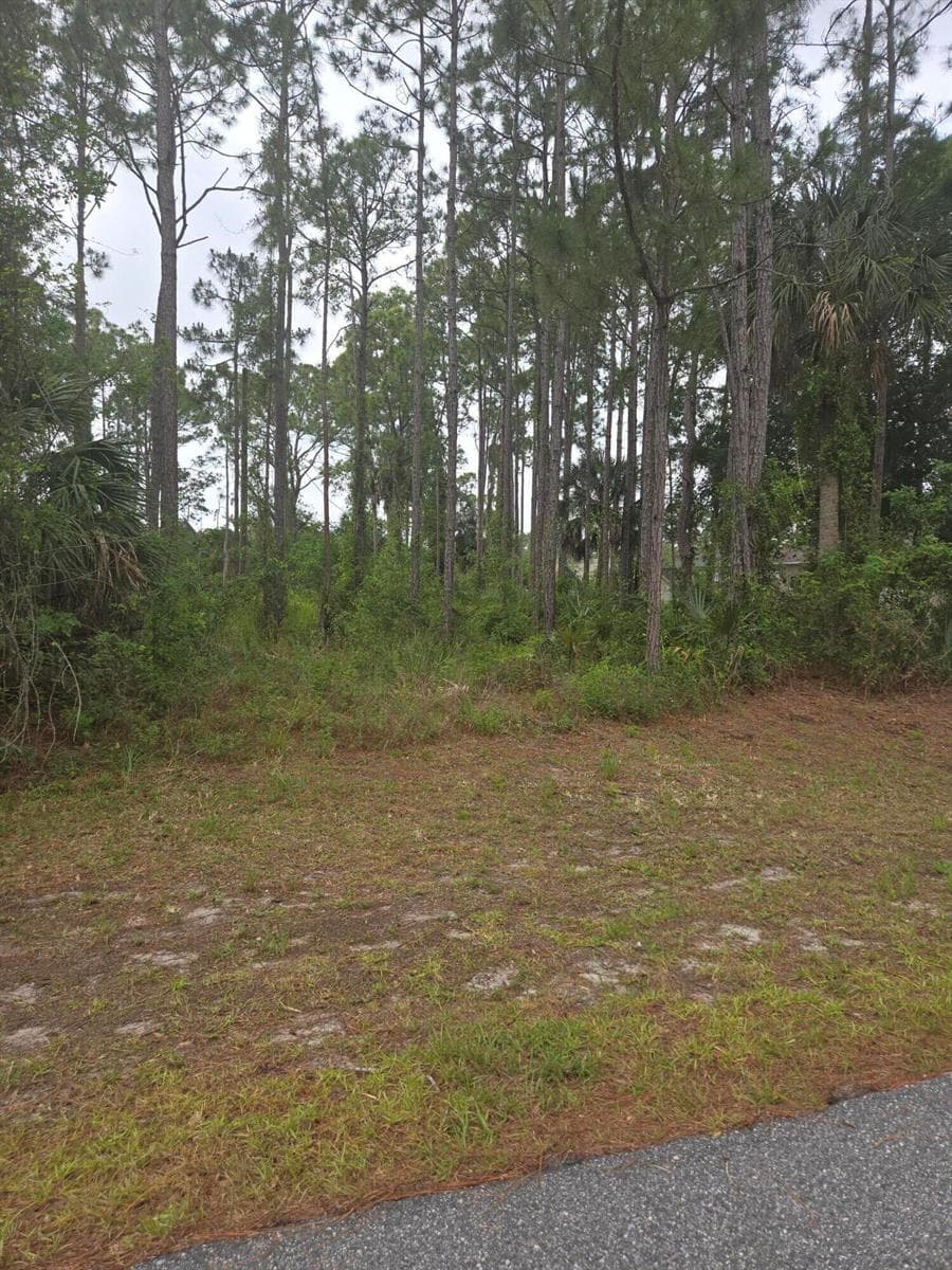 1836 Pindo Court NW, Palm Bay FL 32909 photo 2