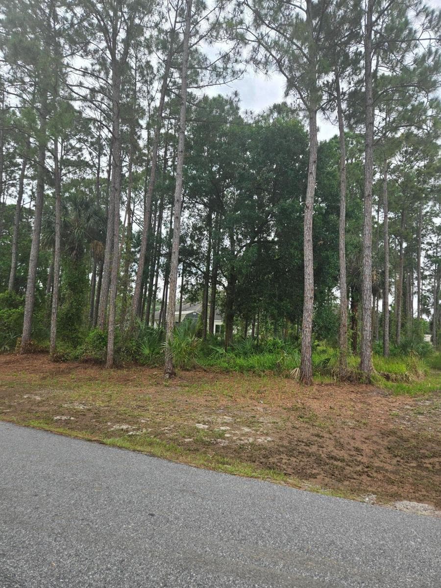 1836 Pindo Court NW, Palm Bay FL 32909 photo 5