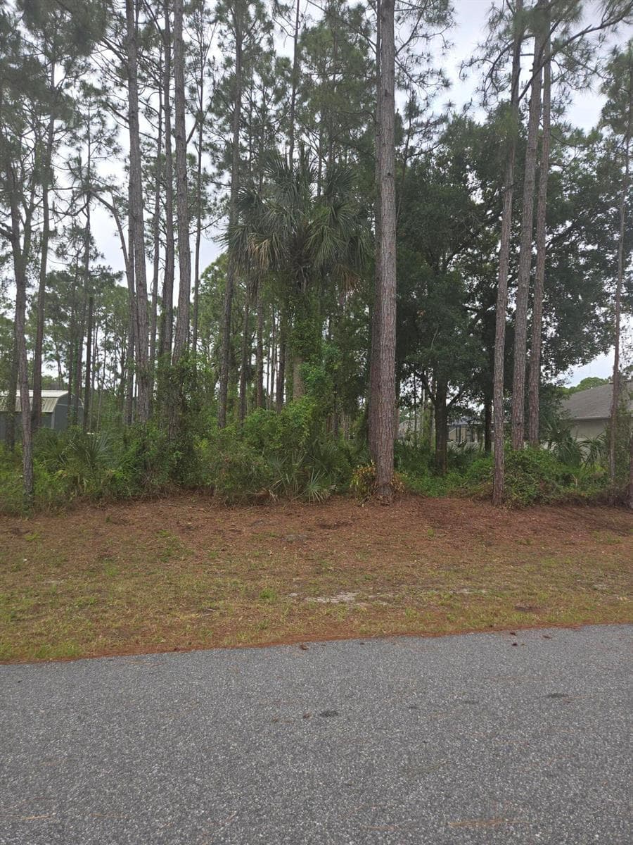 1836 Pindo Court NW, Palm Bay FL 32909 photo 4