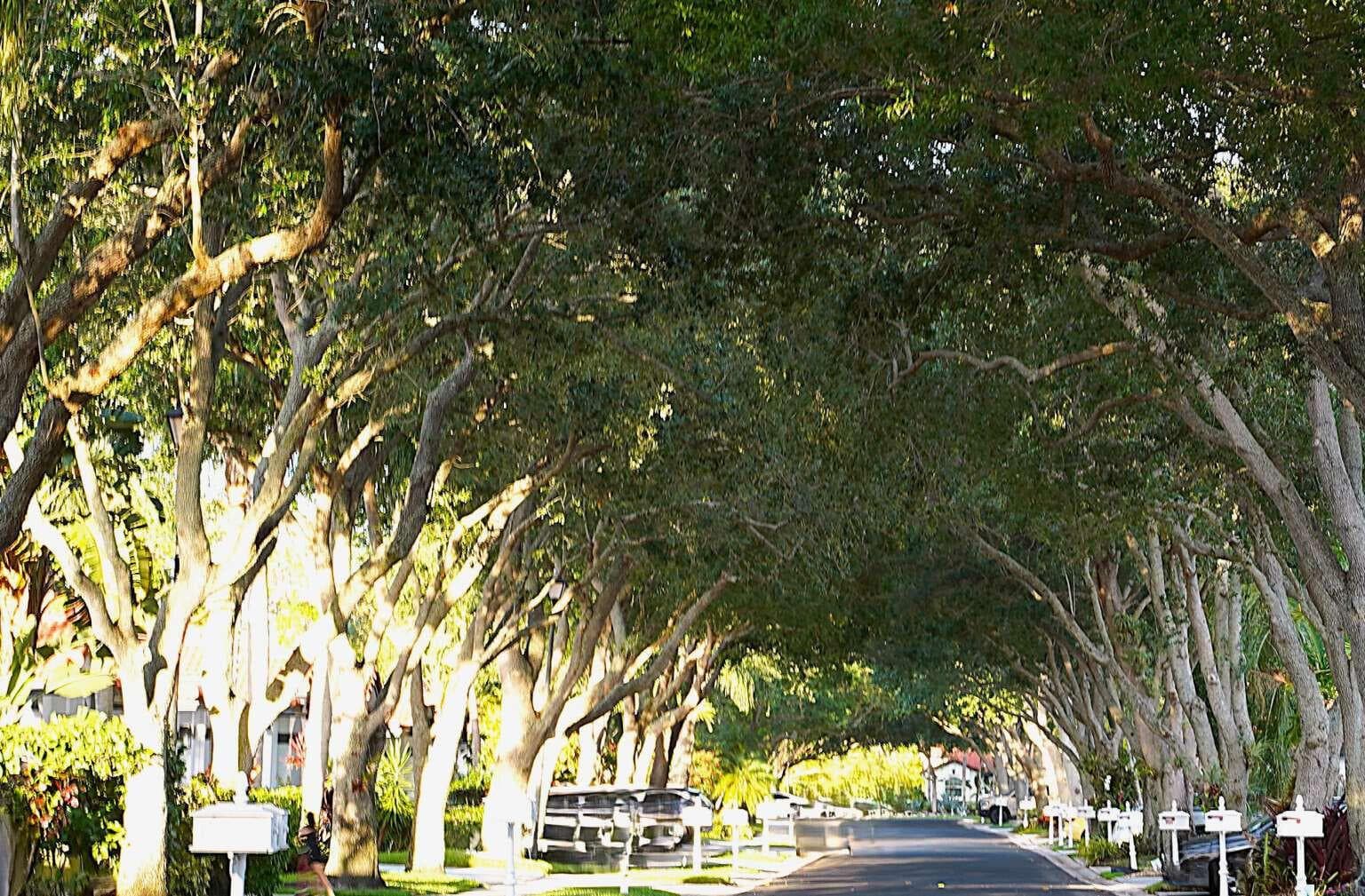 8088 Vía Di Veneto, Boca Raton FL 33496 photo 5