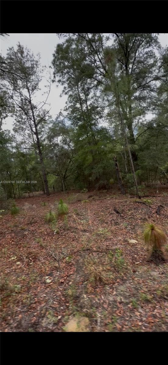 1373 SW 153rd Ave, Ocala FL 34481 photo 3