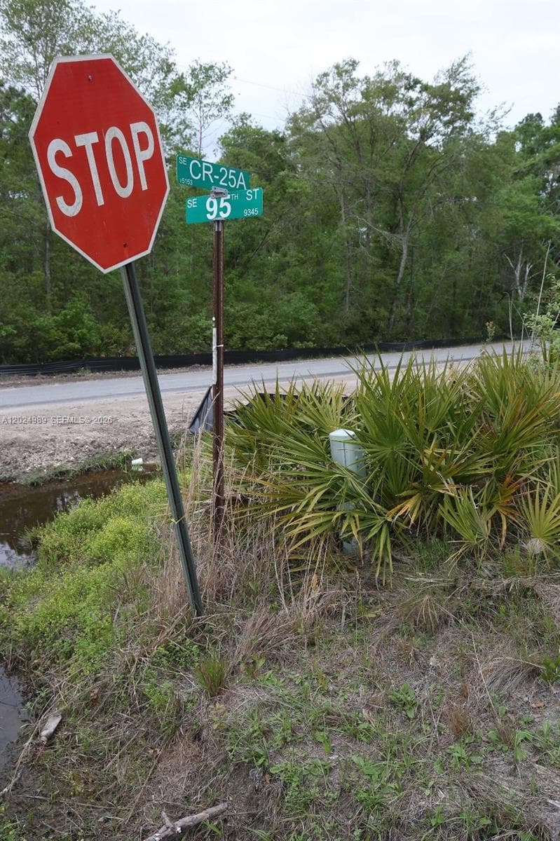 0 SE COUNTY ROAD 25A, Other City - In The State Of Florida FL 32096 photo 5
