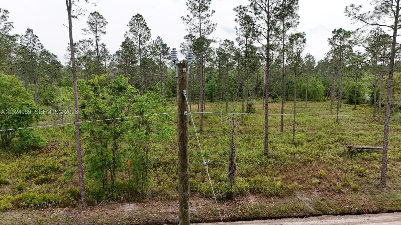 0 SE COUNTY ROAD 25A, Other City - In The State Of Florida FL 32096 photo 4