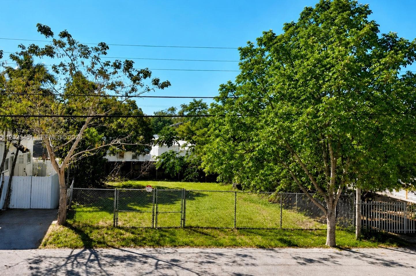 3828 Washington Ave, Miami FL 33133 photo 4