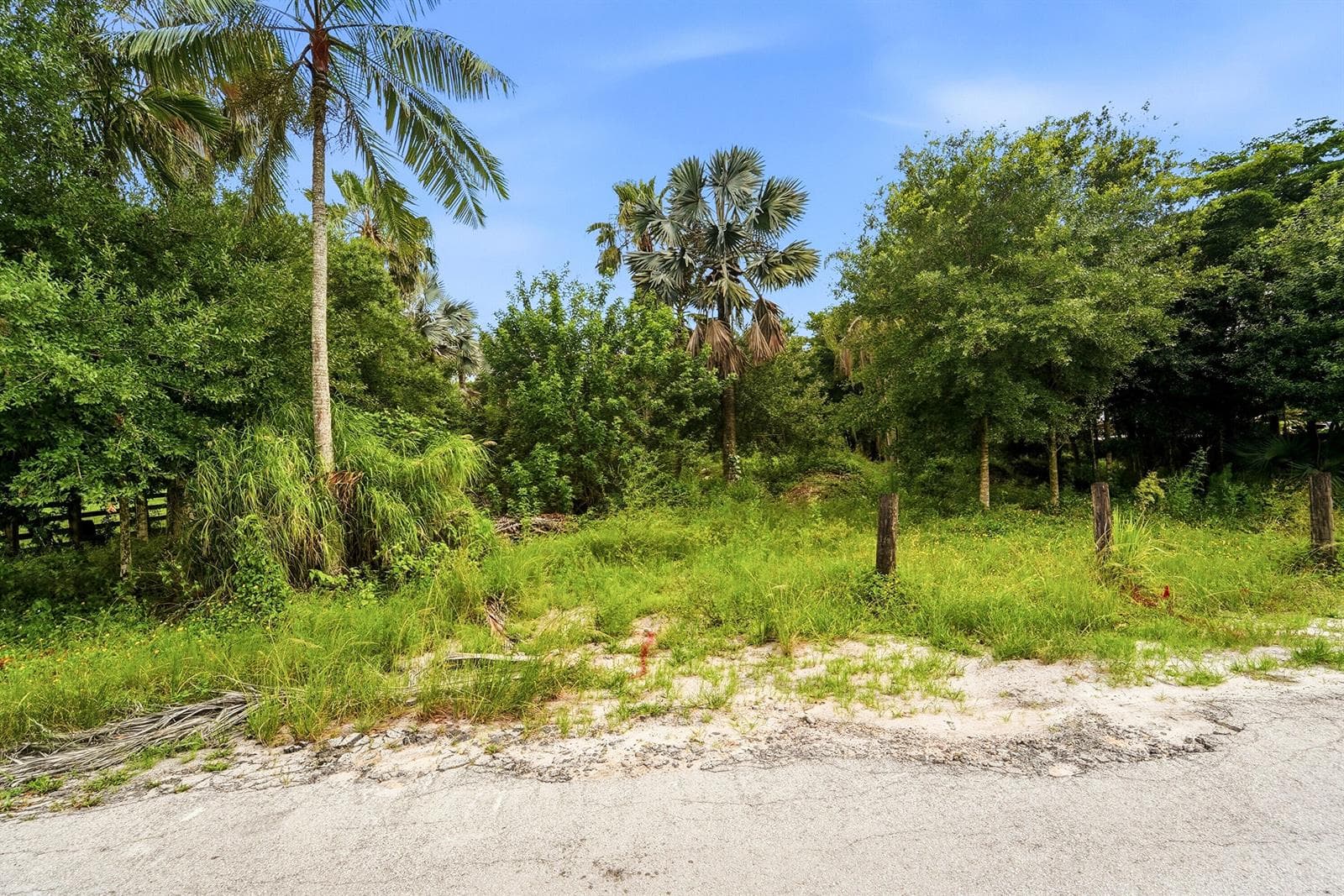 9080 NW 72nd Street, Parkland FL 33067 photo 5