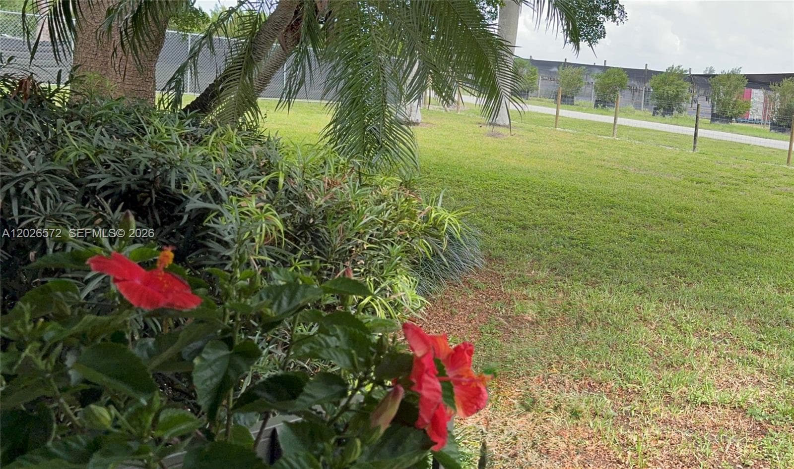 19505 SW 272nd St, Homestead FL 33031 photo 3