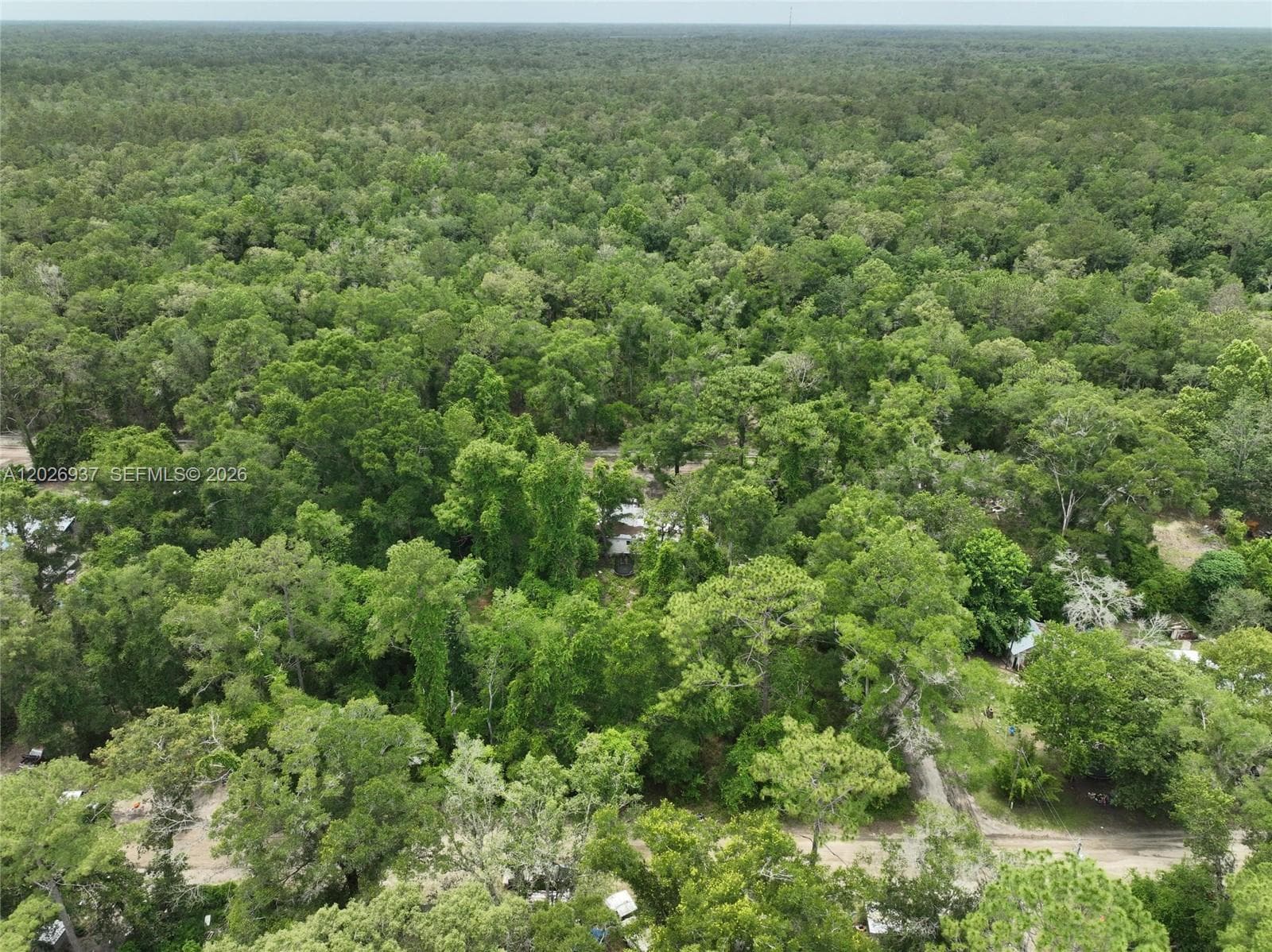 0 SW 83 Ct, Other City - In The State Of Florida FL 32693 photo 3