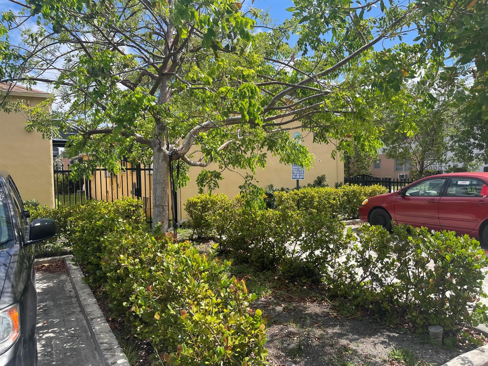 1948 Buchanan Street, Hollywood FL 33020 photo 5