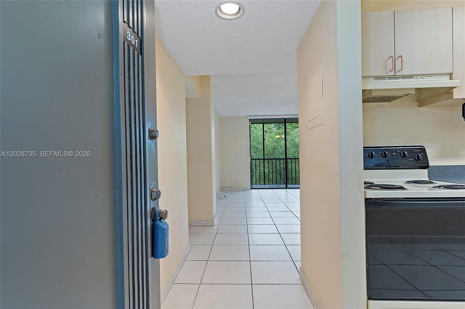8760 SW 133rd Ave Rd # 301, Miami, FL 33183 photo 4