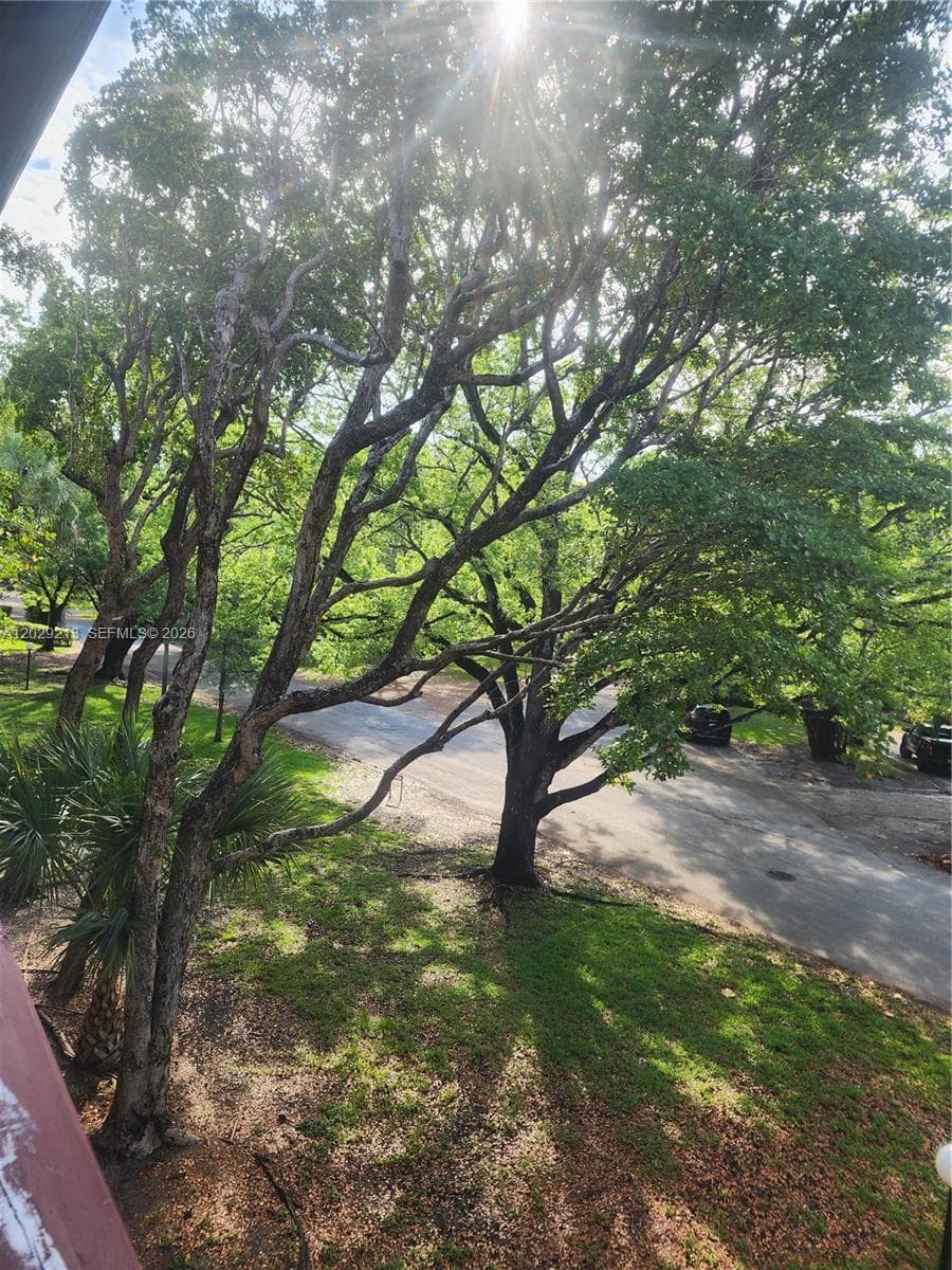 1205 Mariposa Ave # 304, Coral Gables FL 33146 photo 2