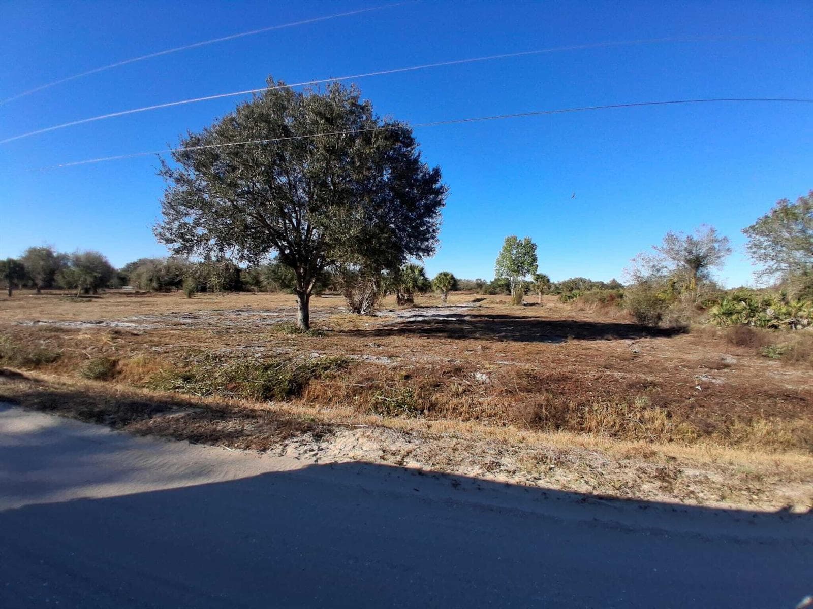 19981 NW 304th Street, Okeechobee FL 34972 photo 4