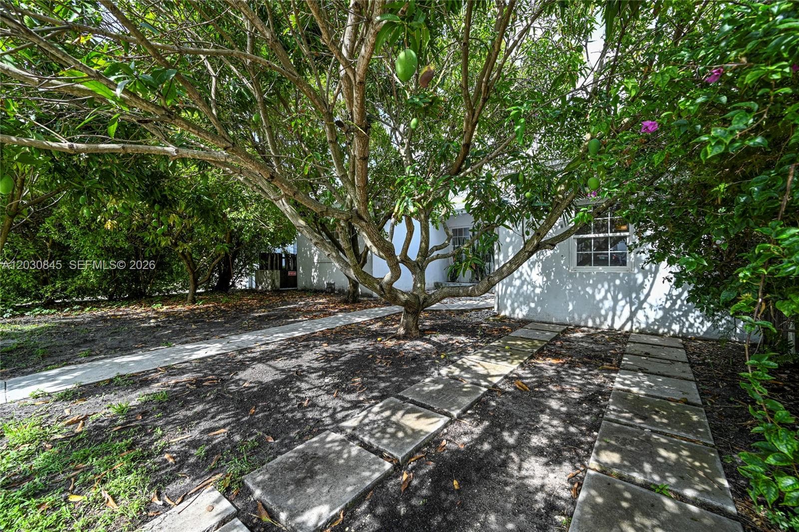 8942 Carlyle Ave, Surfside FL 33154 photo 3
