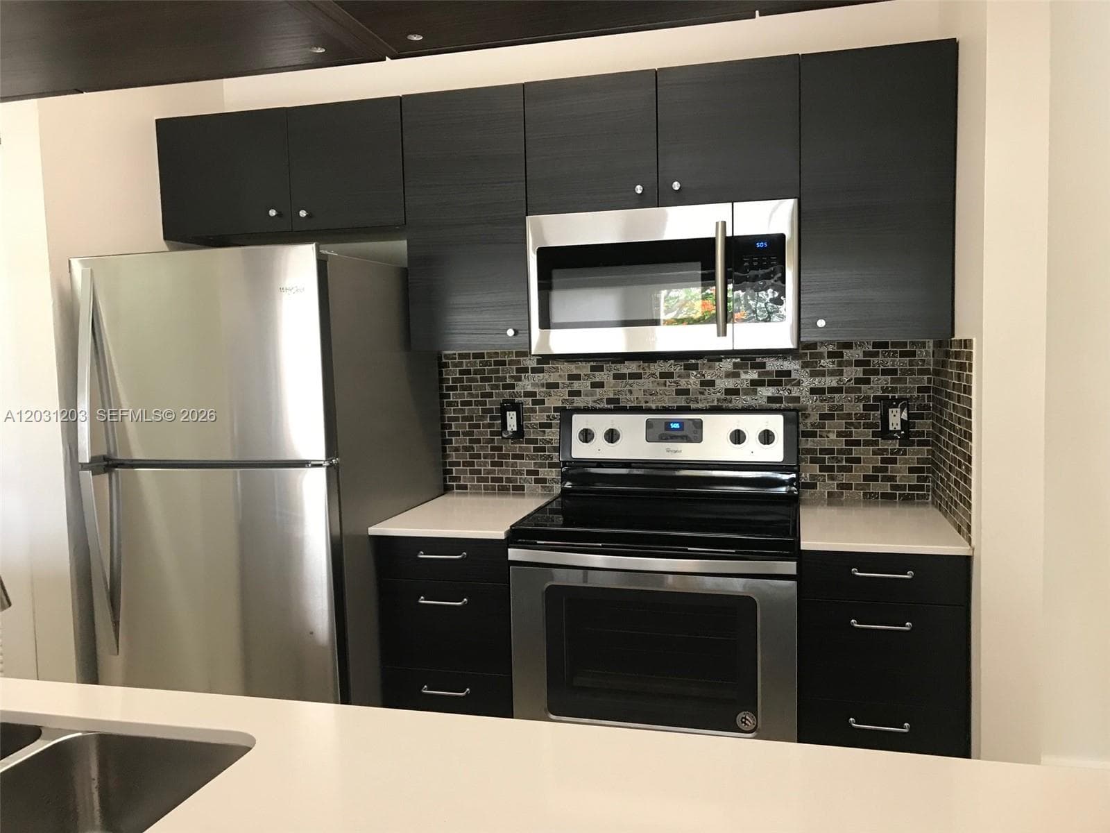 15780 SW 106th Ter # 306, Miami FL 33196 photo 4