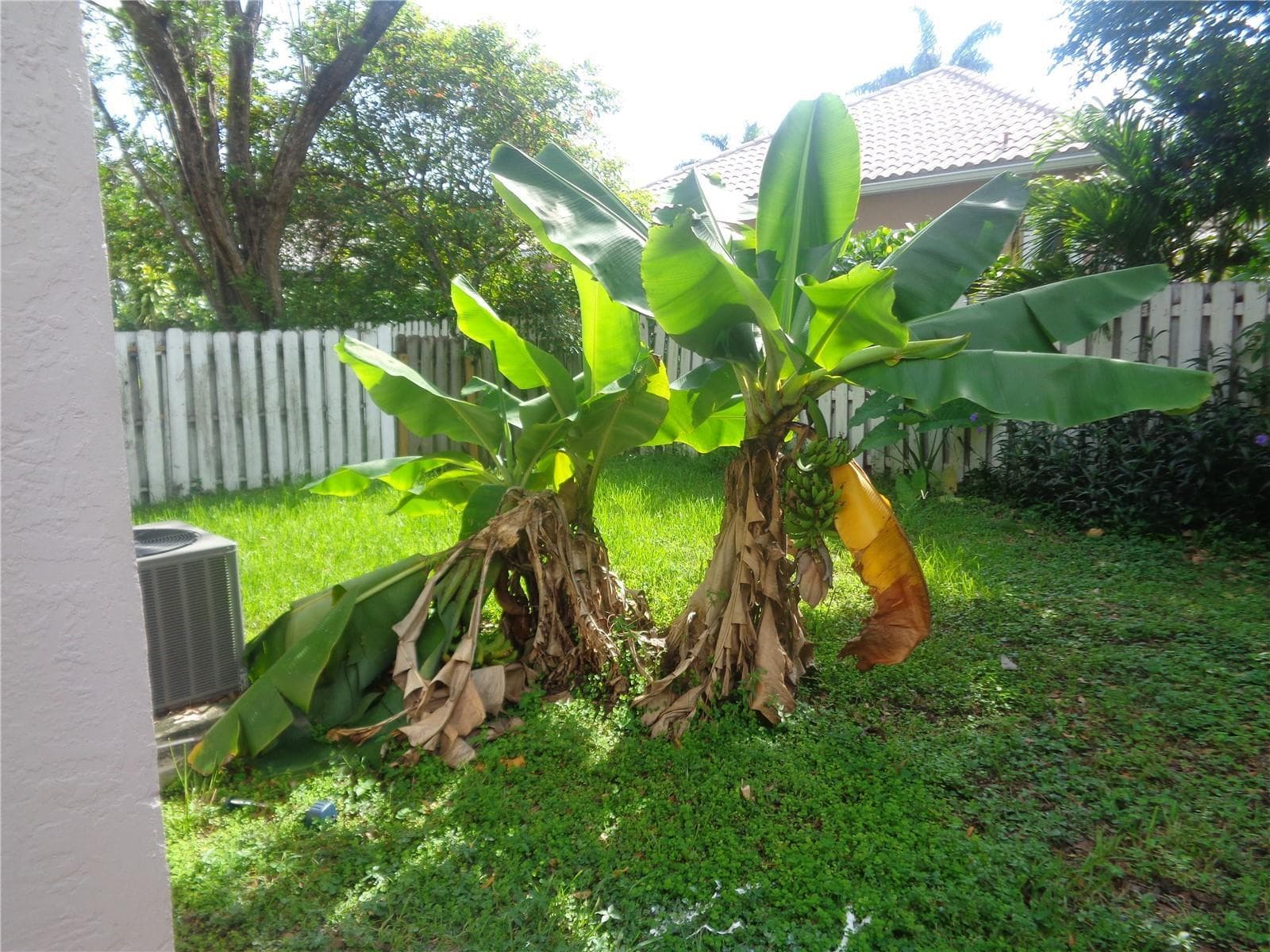 10939 W Broward Boulevard # 10939, Plantation FL 33324 photo 5