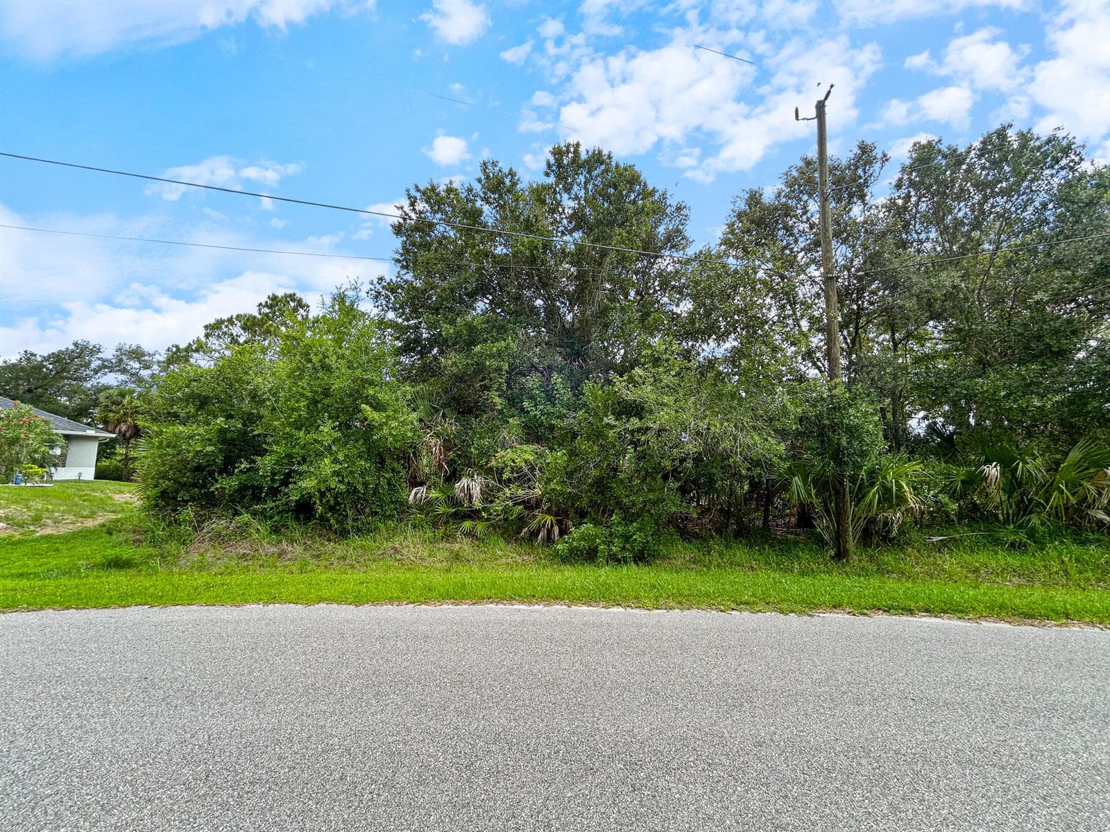 Ancient Ancient, North Port FL 34286 photo 5