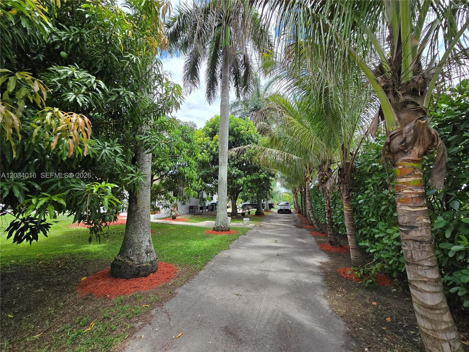 20595 SW 190th St, Miami FL 33187 photo 3