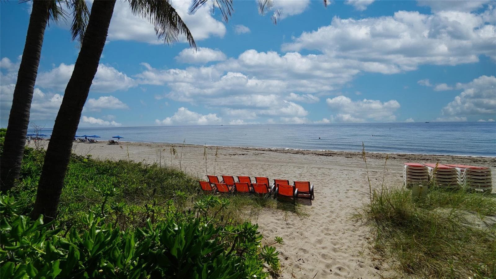 2011 N Ocean Boulevard # 1606, Fort Lauderdale FL 33305 photo 4