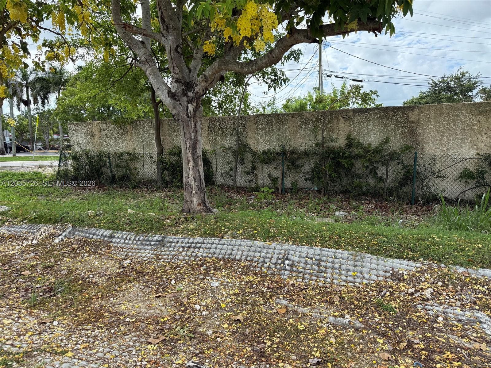 SW 157th, Homestead FL 33033 photo 4