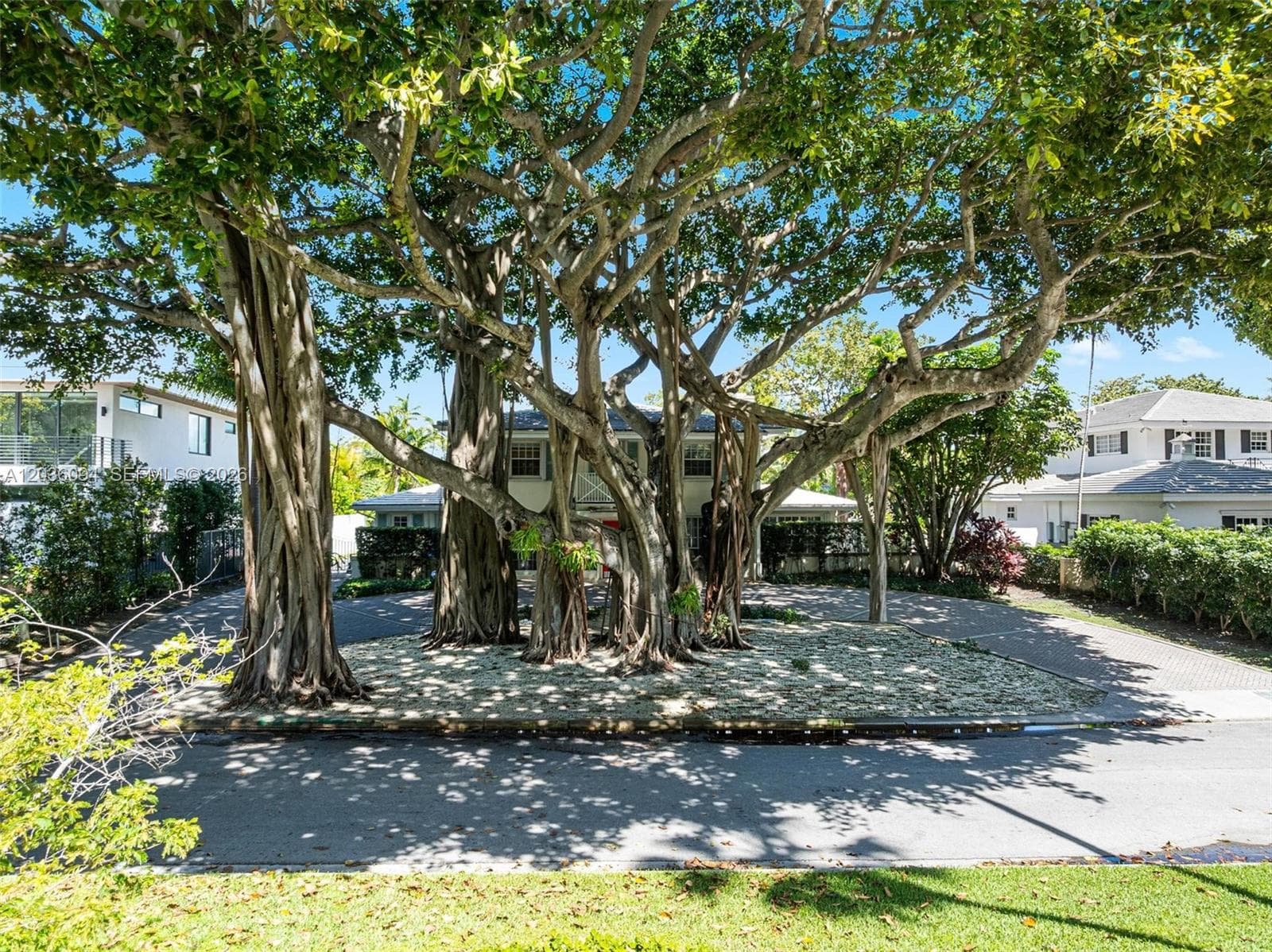 655 Buttonwood Ln, Miami FL 33137 photo 5