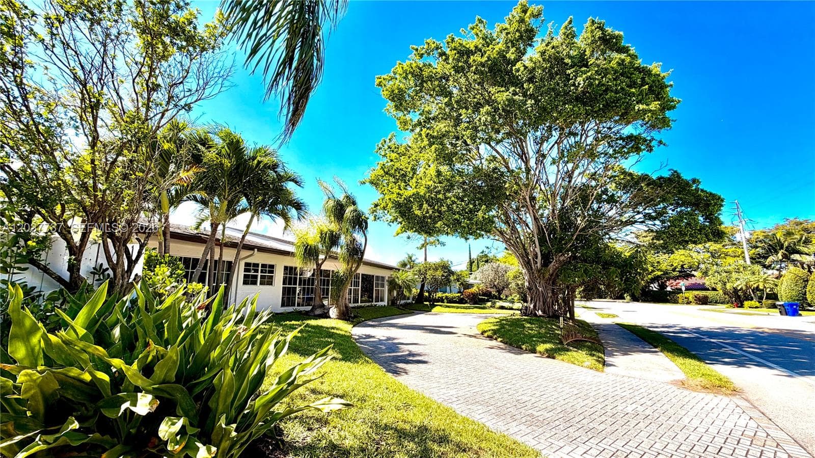 2409 Bayview Dr, Fort Lauderdale FL 33305 photo 5