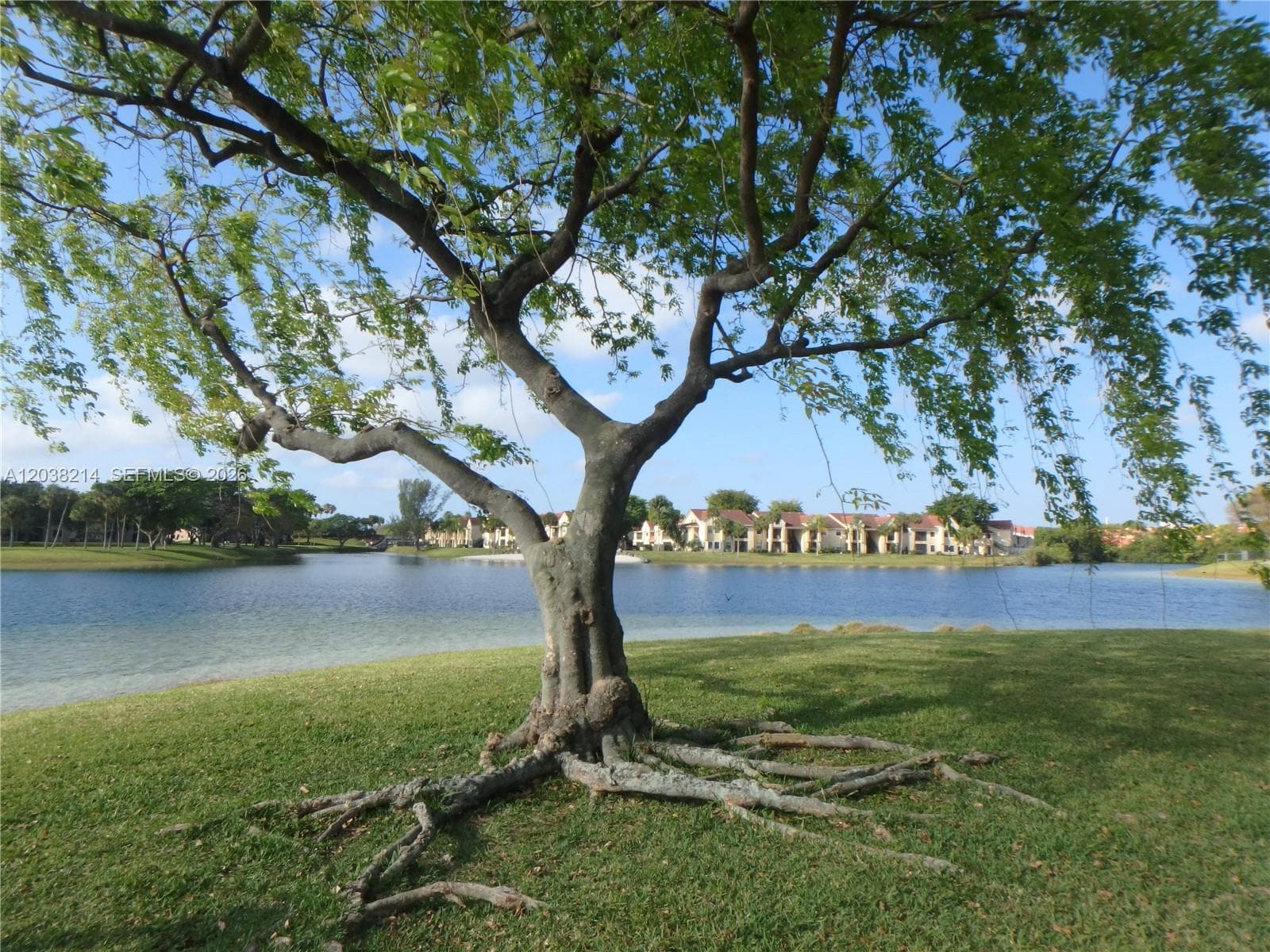 9727 Hammocks Blvd # 101D, Miami FL 33196 photo 4