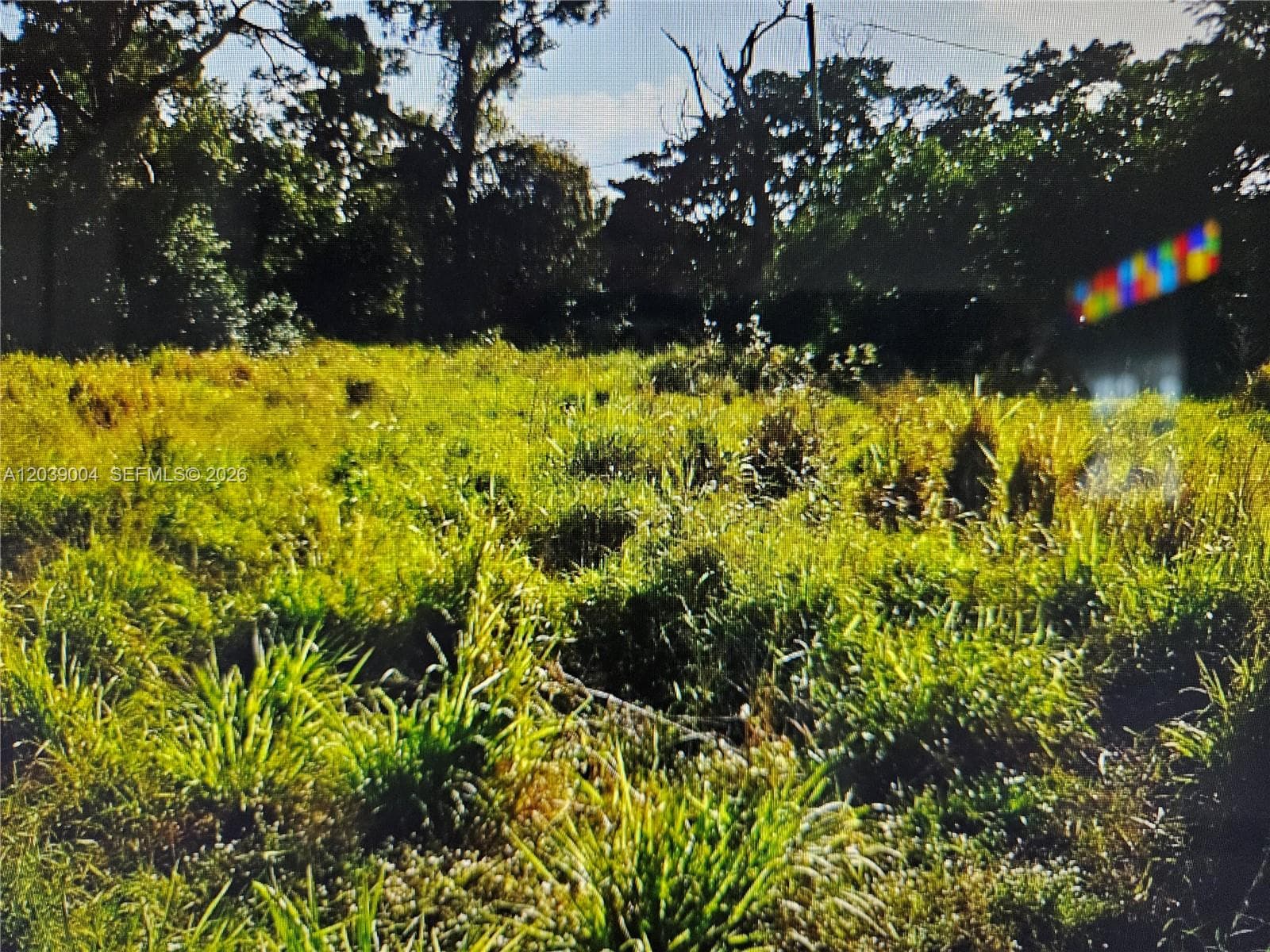 TBD San Marcos Ave, Fort Pierce FL 34946 photo 3