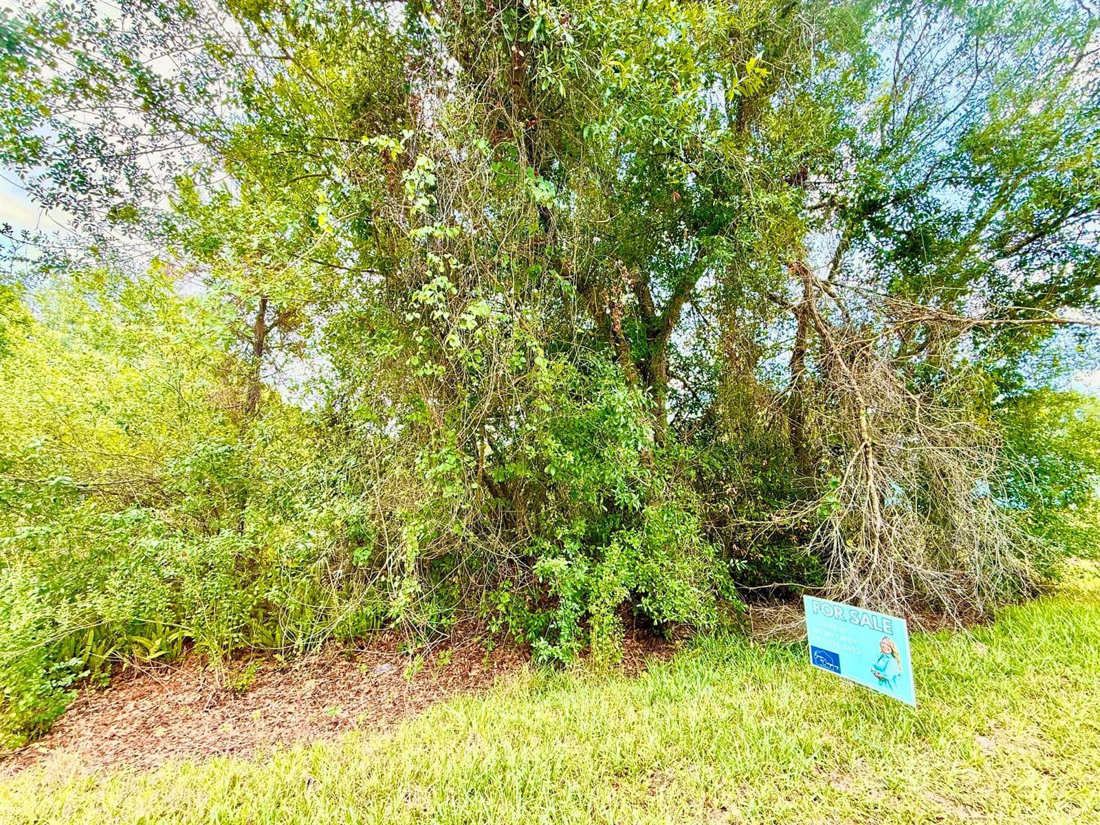 0 NE 2nd Terrace, Okeechobee FL 34972 photo 3