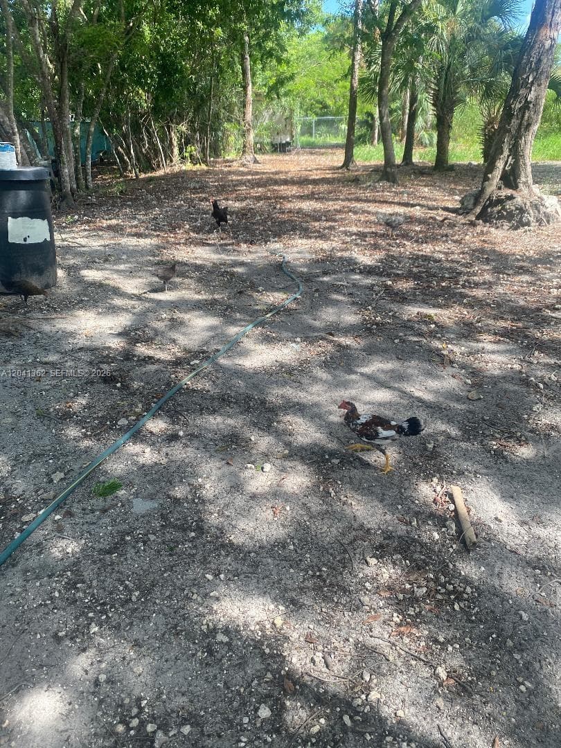 23625 SW 125 AV, Homestead FL 33032 photo 3