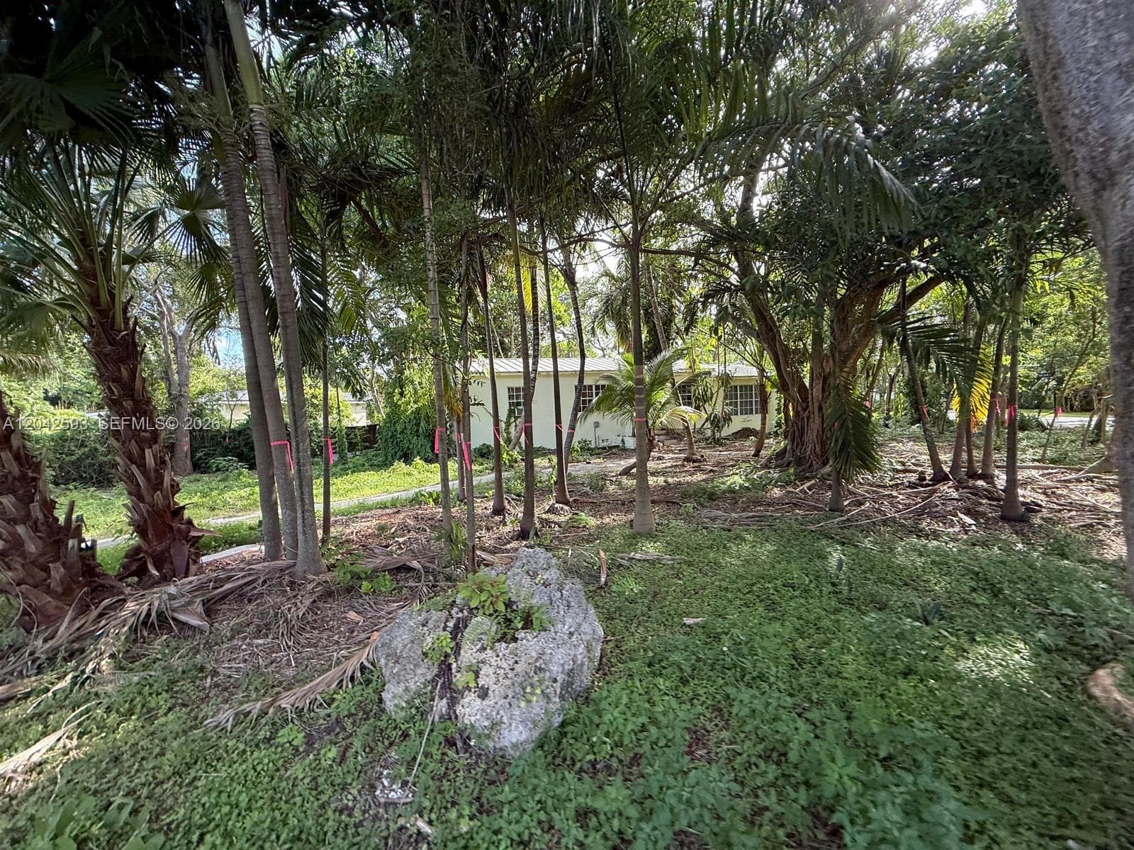 6600 SW 64th Ct, South Miami FL 33143 photo 2