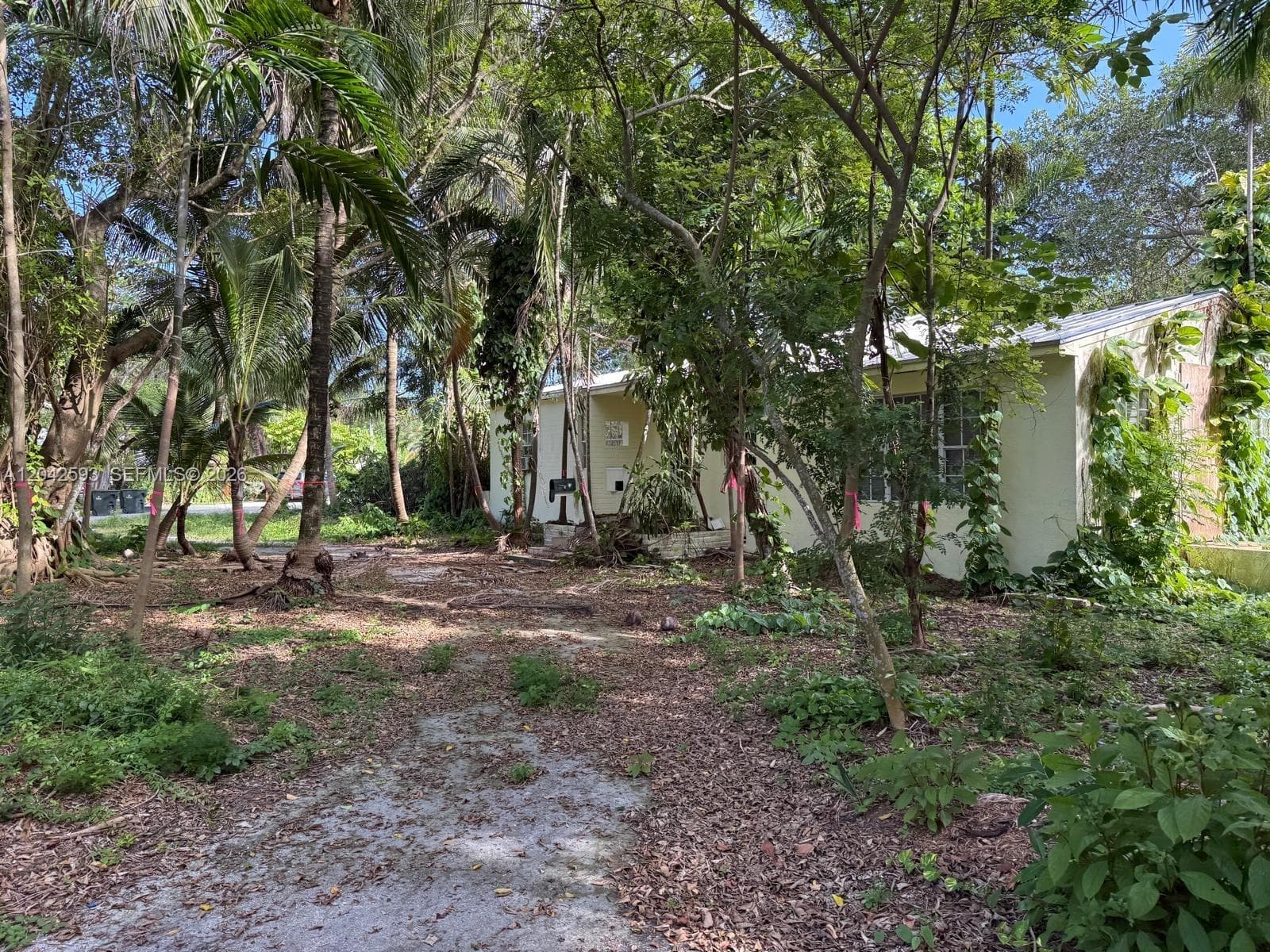 6600 SW 64th Ct, South Miami FL 33143 photo 5