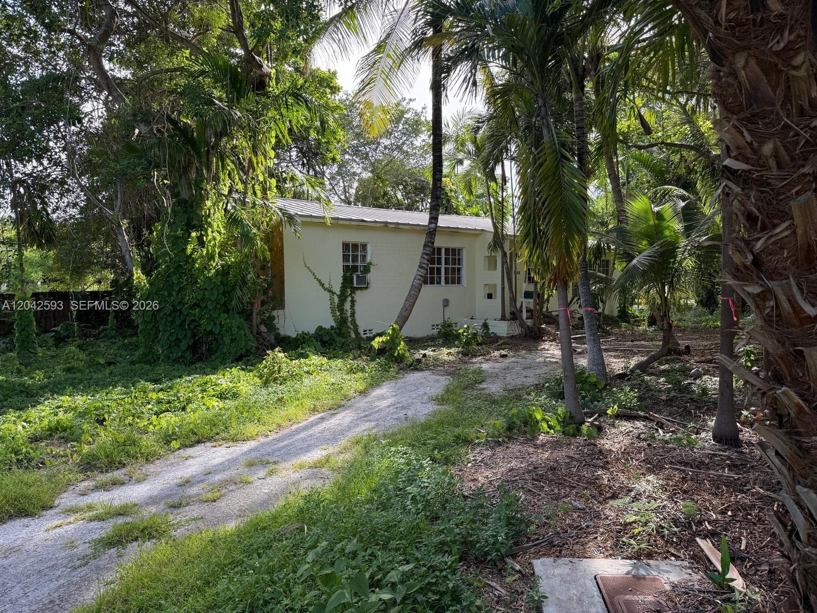 6600 SW 64th Ct, South Miami FL 33143 photo 4