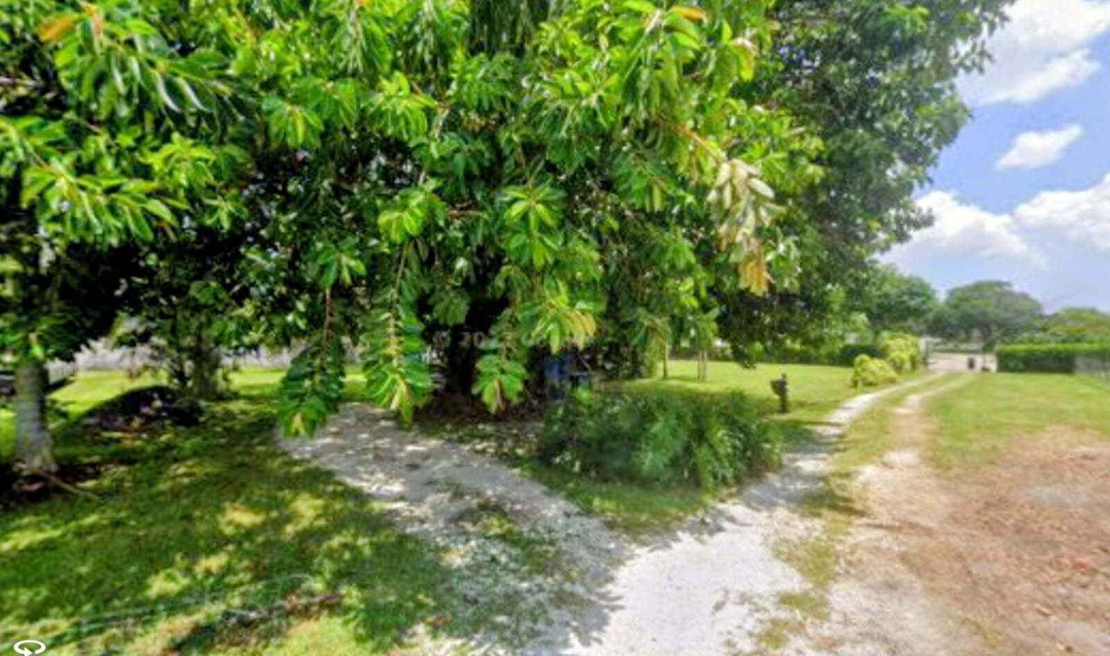 6955 SW 57th Street, Davie FL 33314 photo 3
