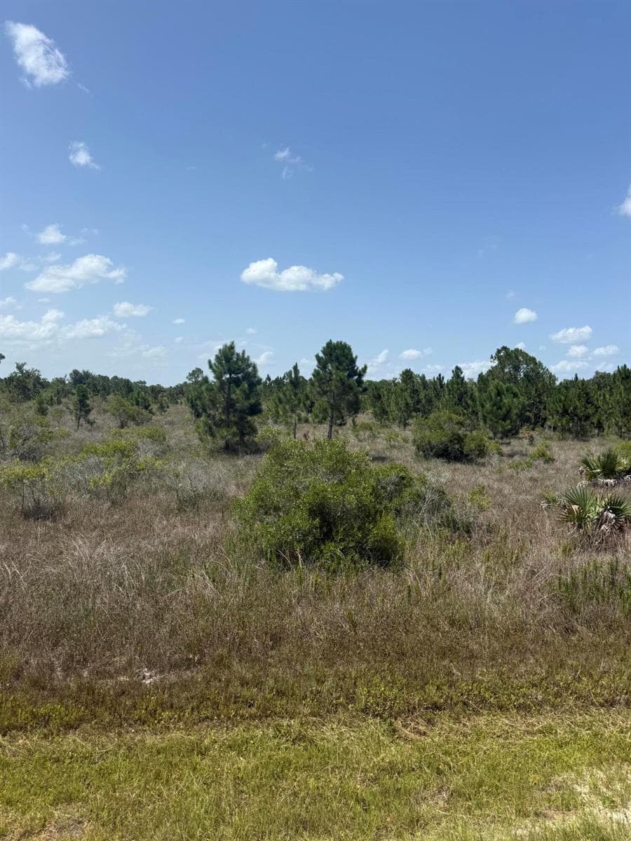 15463 NW 306th Street, Okeechobee FL 34972 photo 2