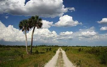 15463 NW 306th Street, Okeechobee FL 34972 photo 5