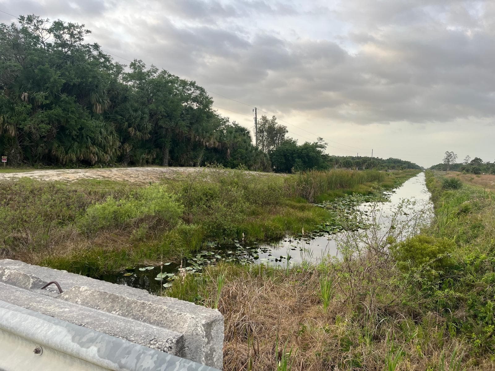 15148 NW 288th Street, Okeechobee FL 34972 photo 5