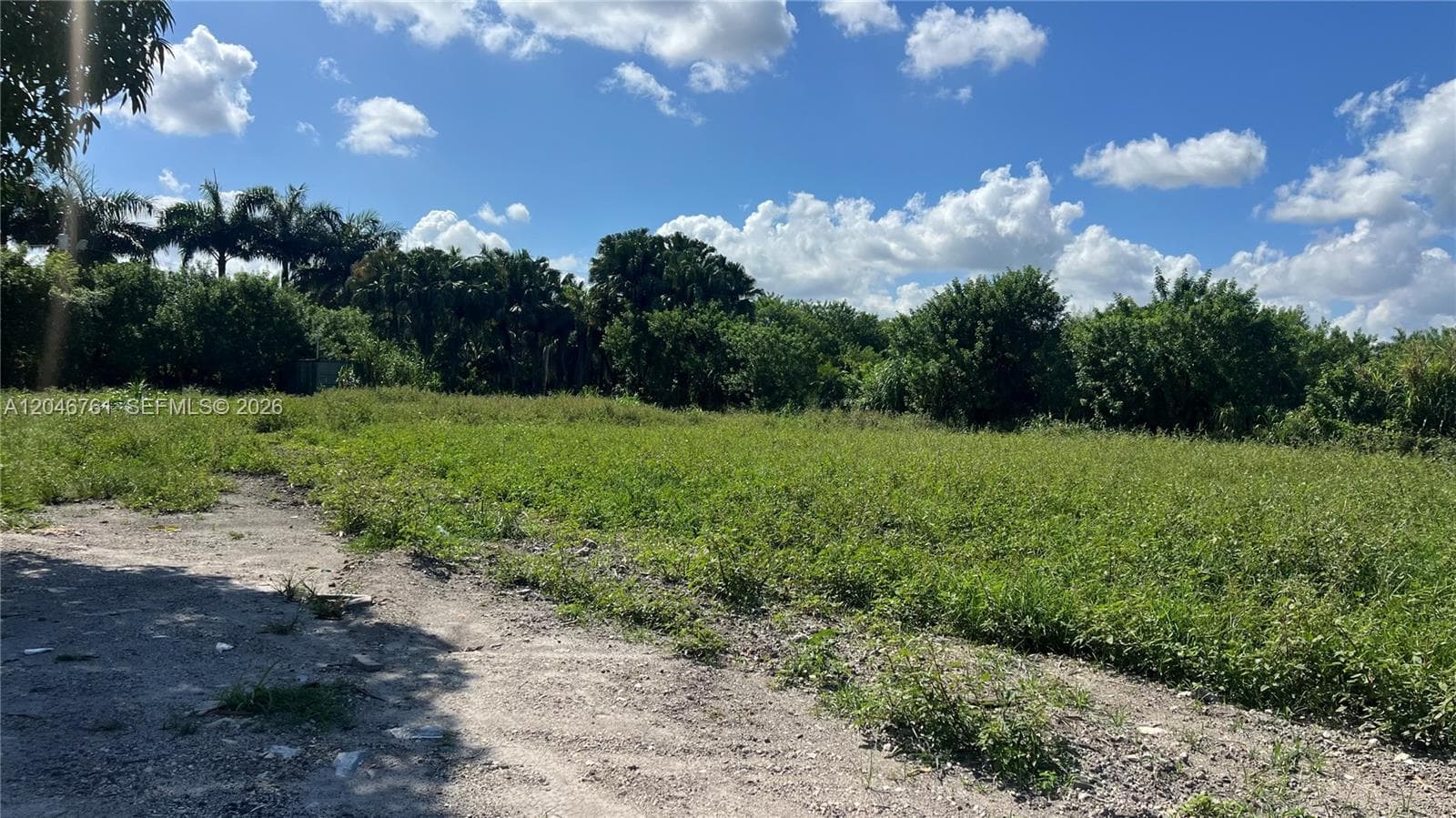 15820 SW 209th Ave, Miami FL 33187 photo 3