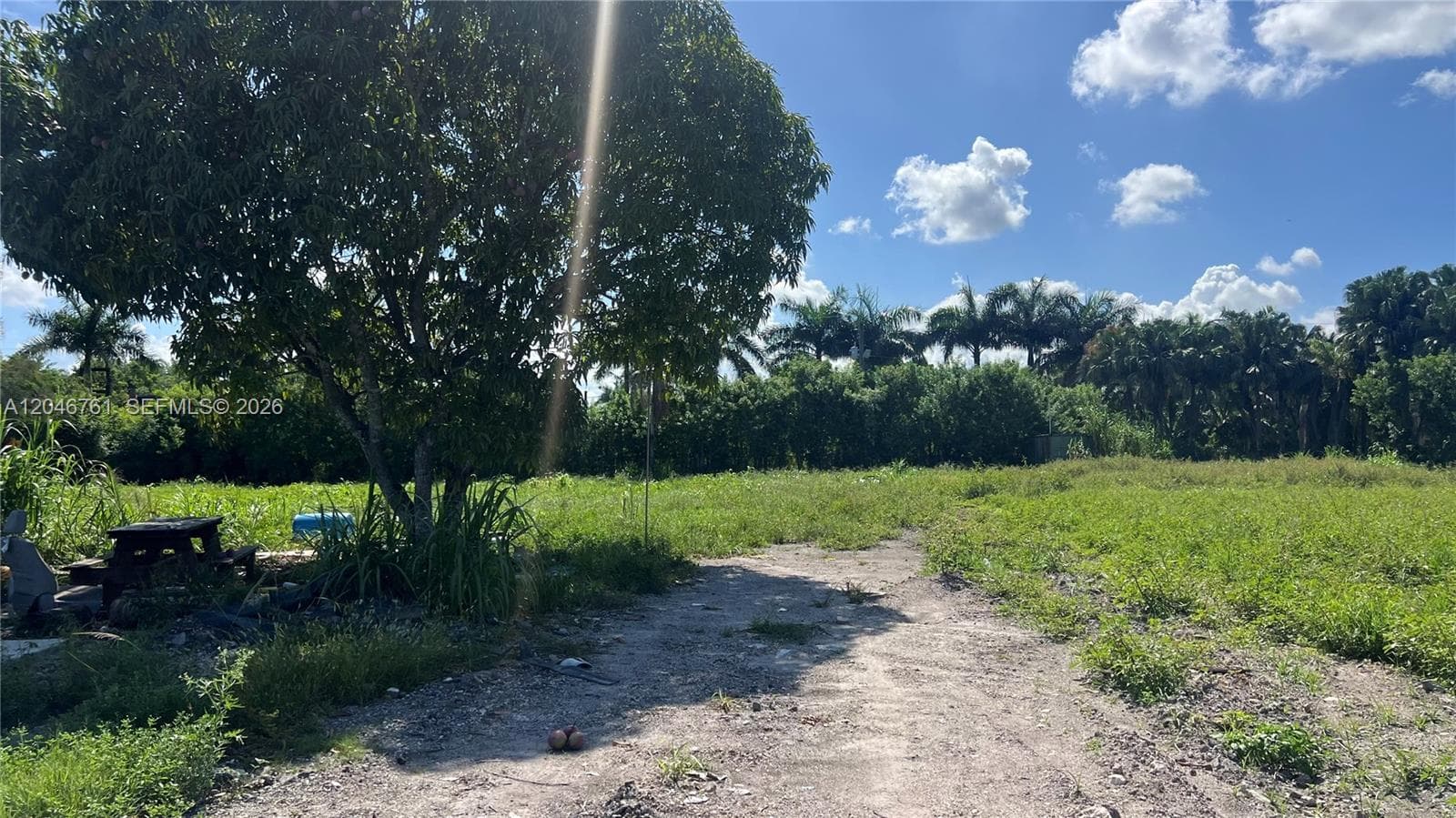 15820 SW 209th Ave, Miami FL 33187 photo 4