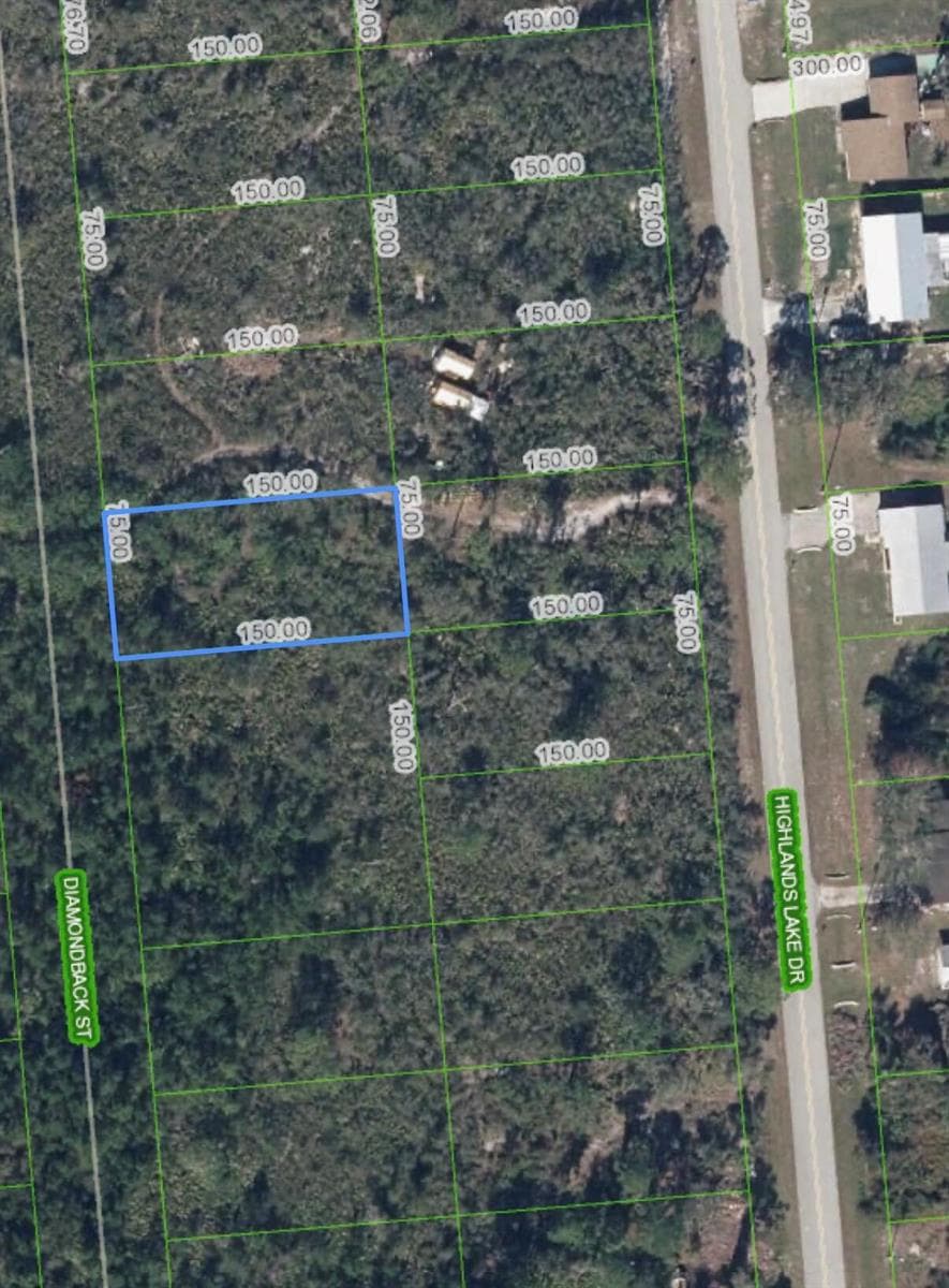 651 Mckinley Street, Lake Placid FL 33852 photo 3